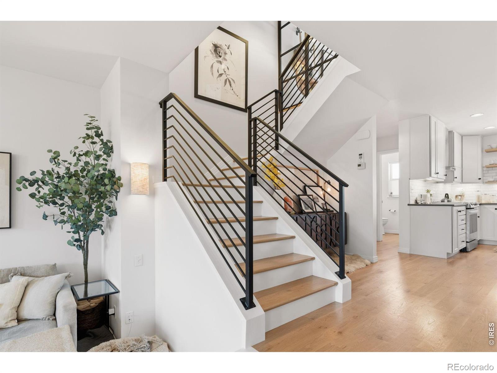 MLS Image #14 for 1531  venice lane,longmont, Colorado