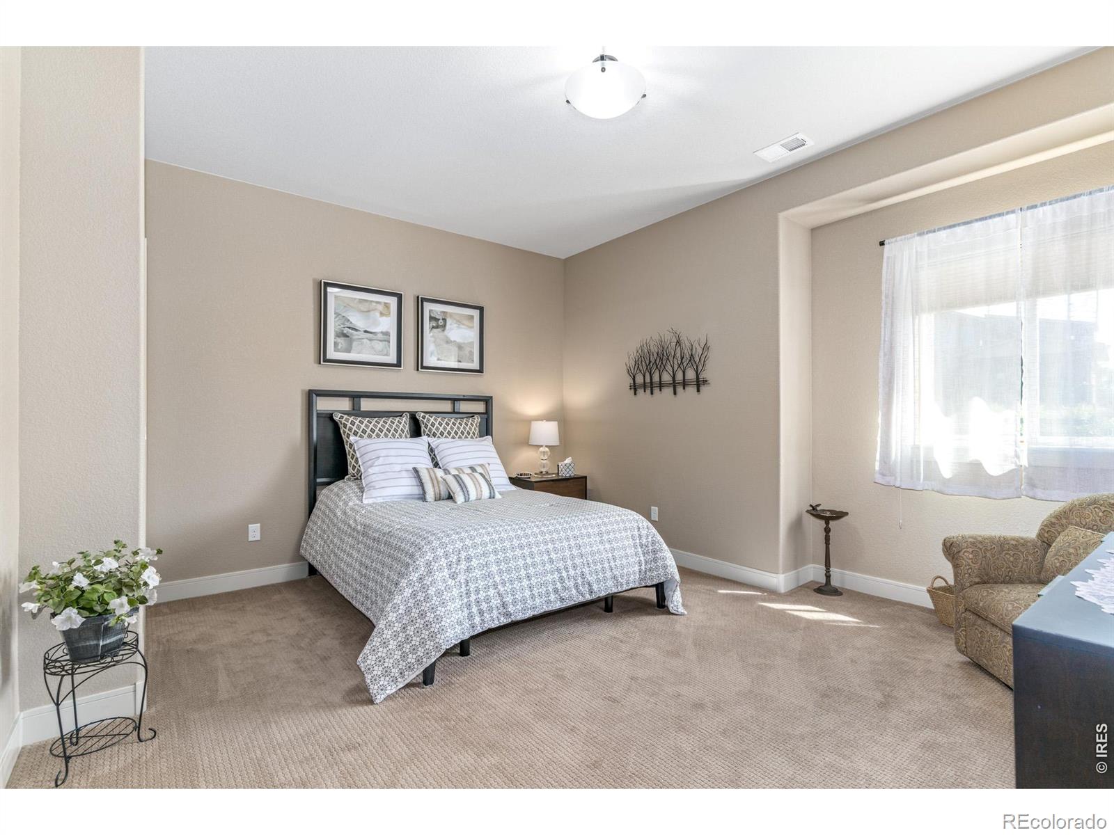 MLS Image #26 for 6923  winterpeak court,timnath, Colorado