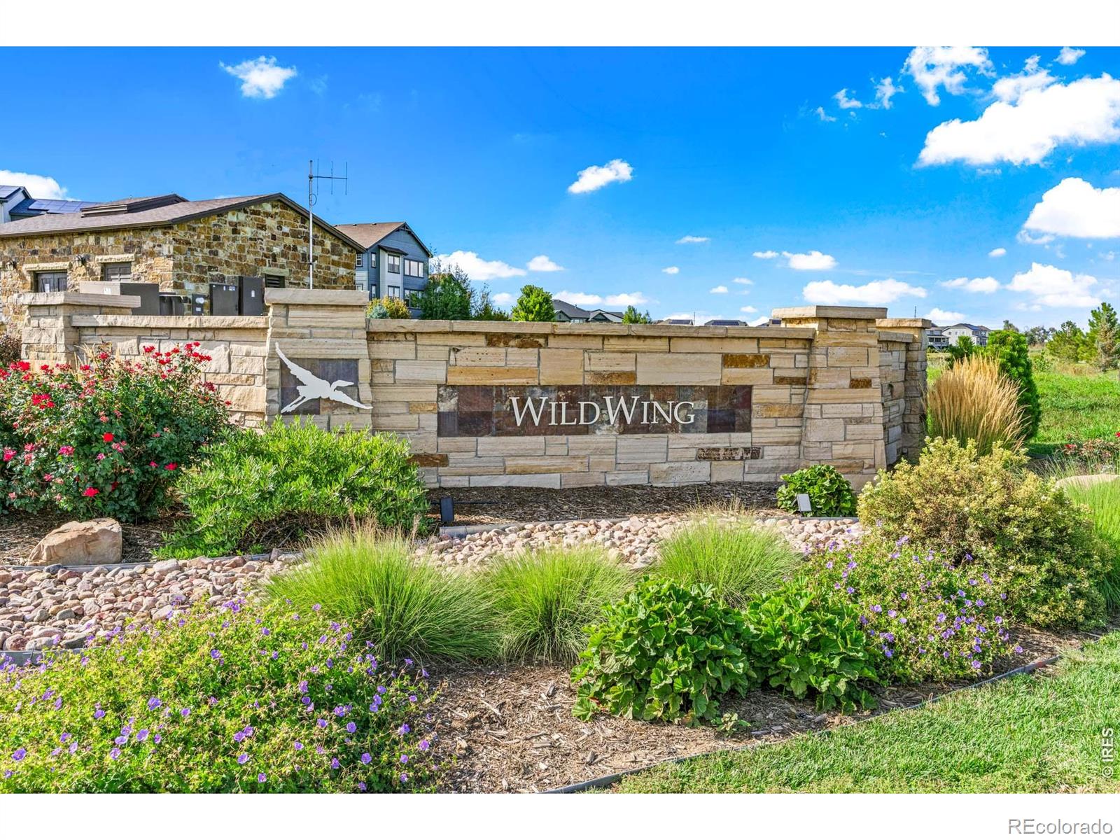 MLS Image #39 for 6923  winterpeak court,timnath, Colorado