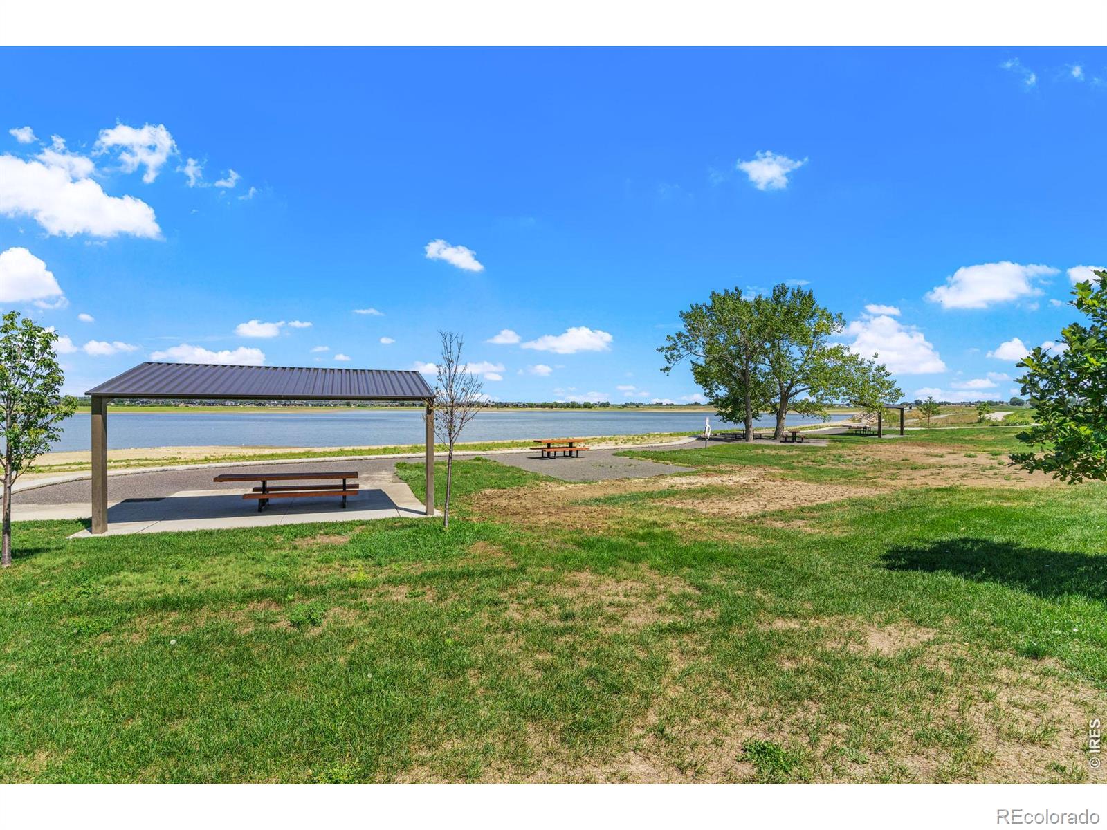 MLS Image #43 for 6923  winterpeak court,timnath, Colorado
