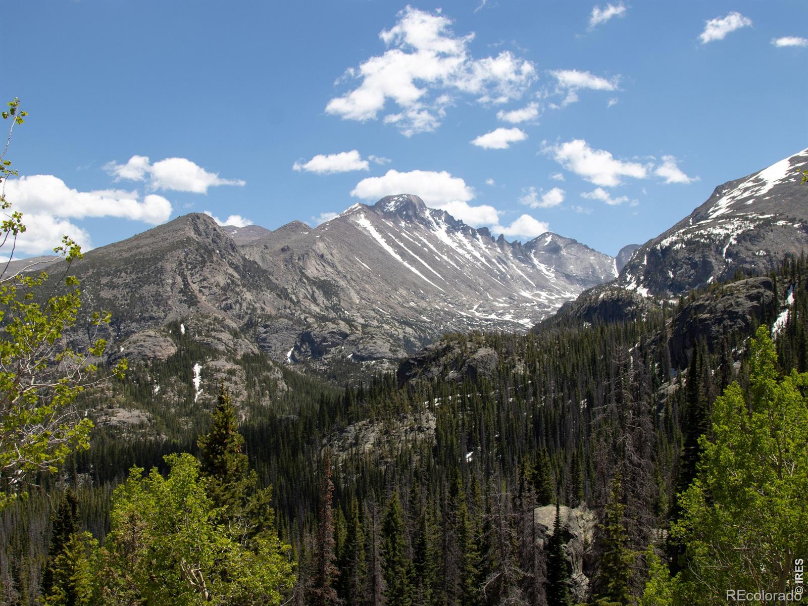 MLS Image #32 for 446  stanley avenue,estes park, Colorado