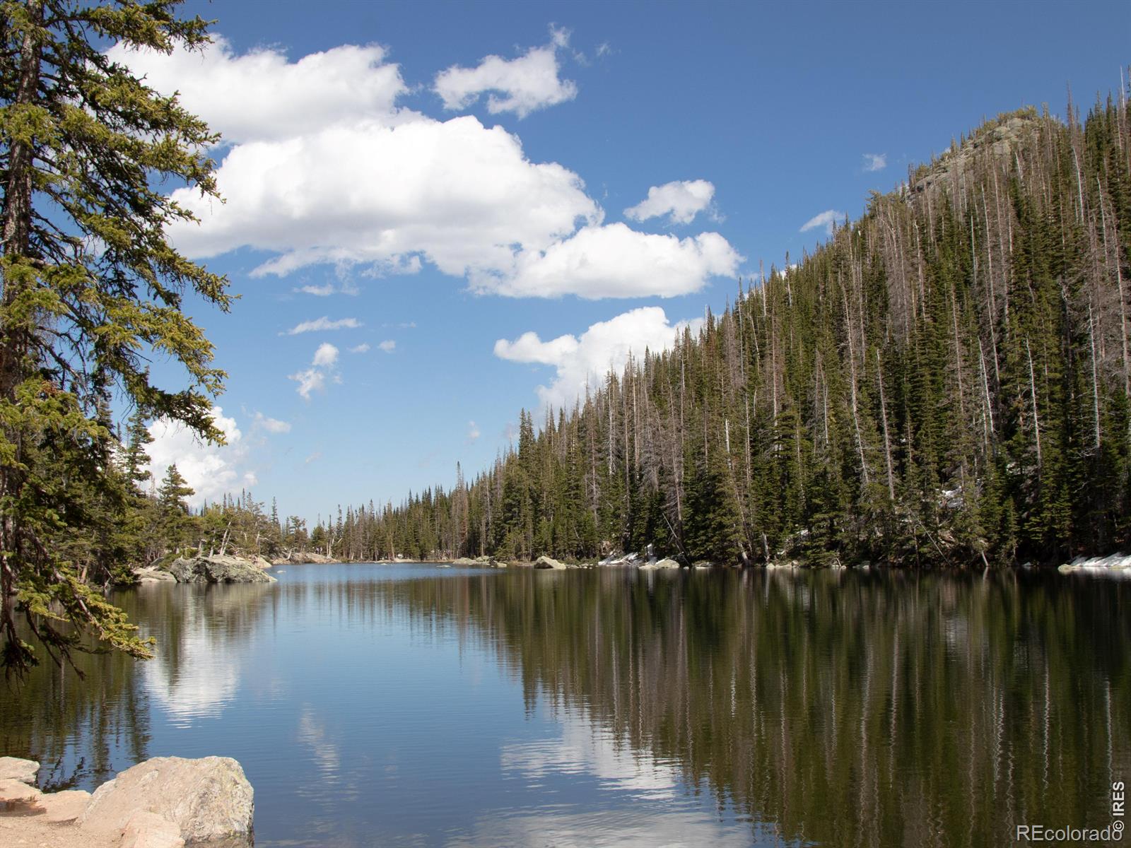 MLS Image #33 for 446  stanley avenue,estes park, Colorado
