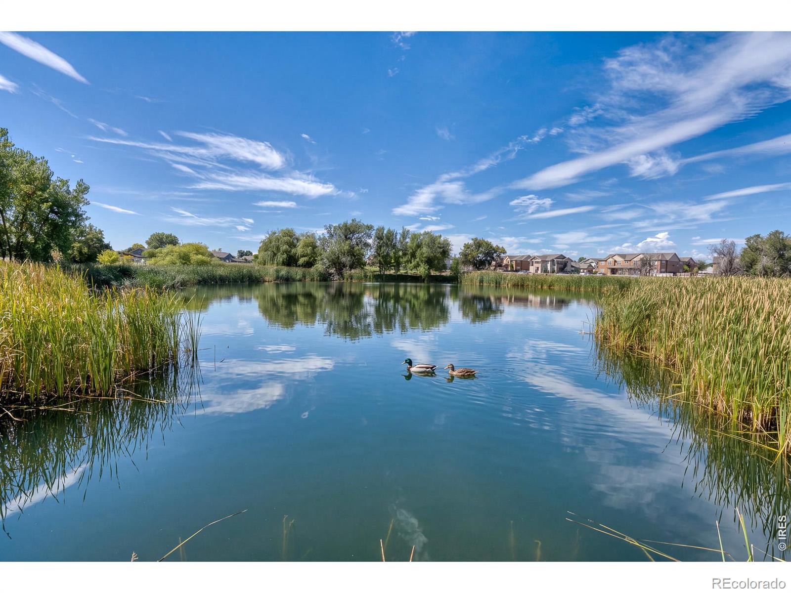 MLS Image #40 for 3639  29th street,greeley, Colorado