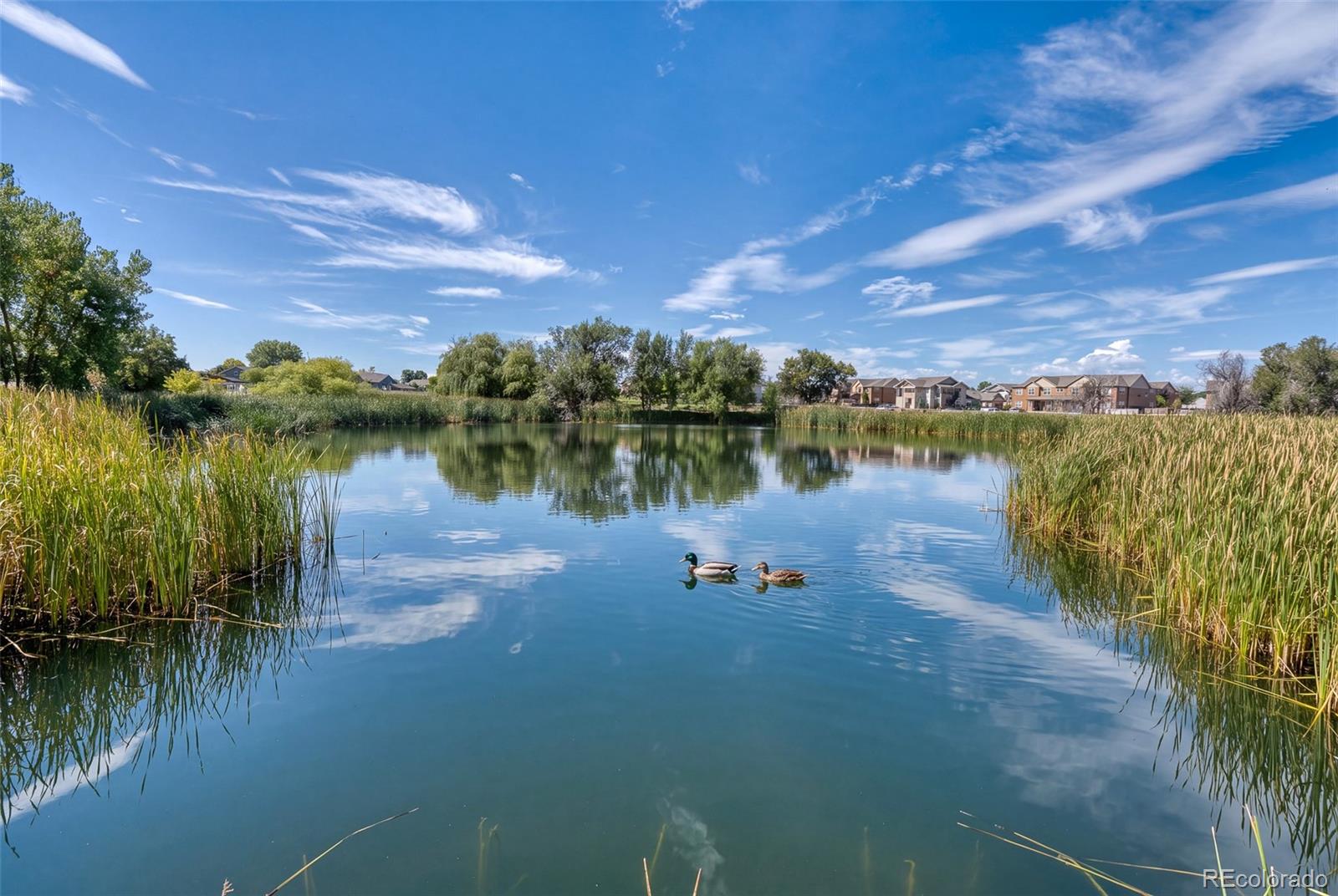 MLS Image #49 for 3639  29 ,greeley, Colorado