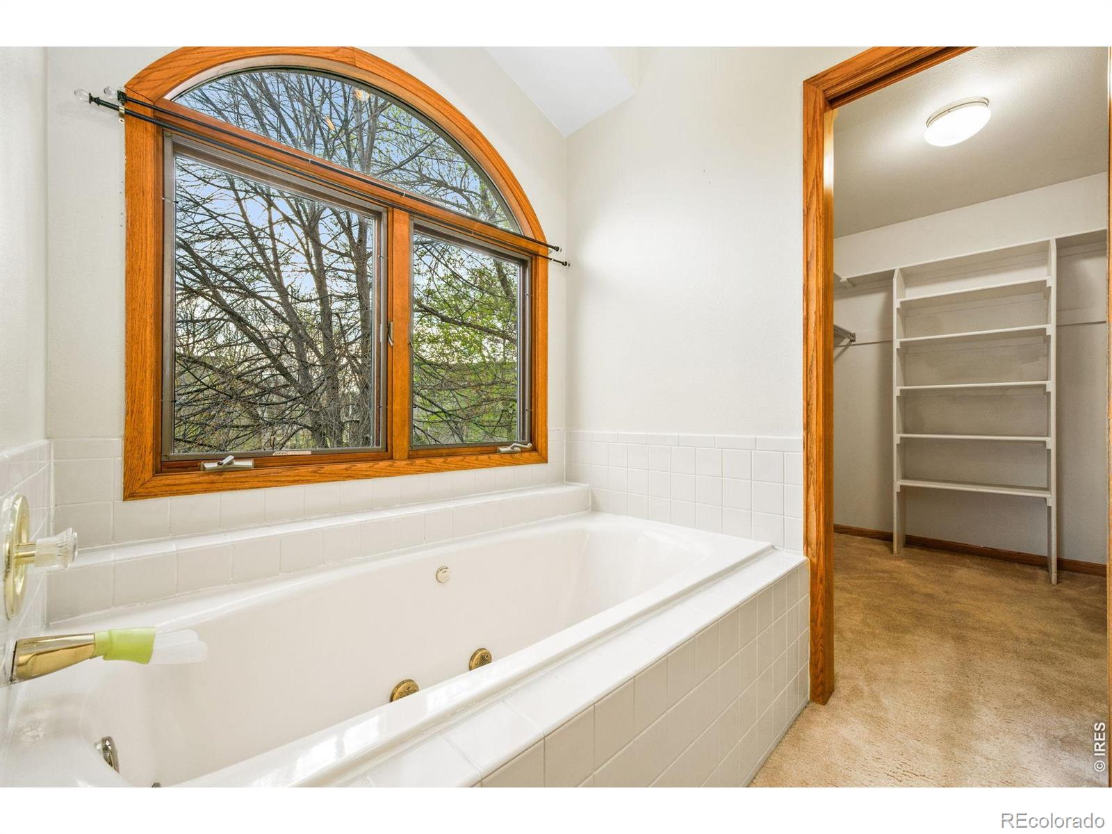 MLS Image #15 for 5207  wheaton drive,fort collins, Colorado