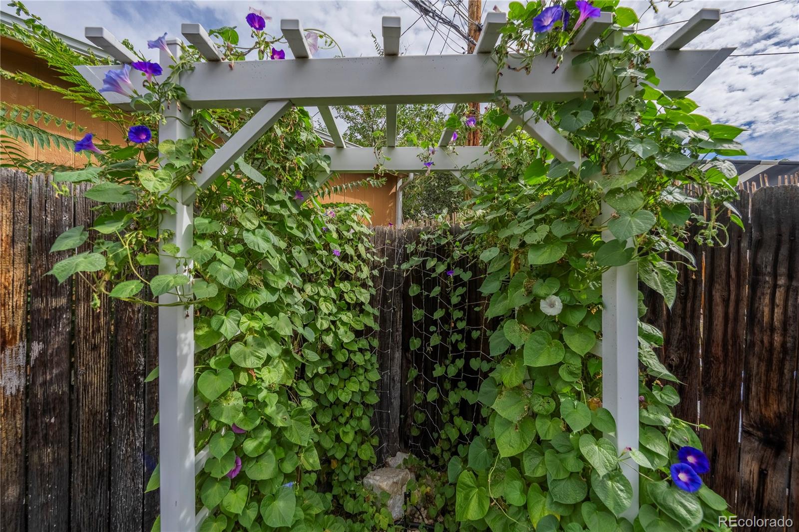 MLS Image #23 for 4845 e arizona avenue,denver, Colorado