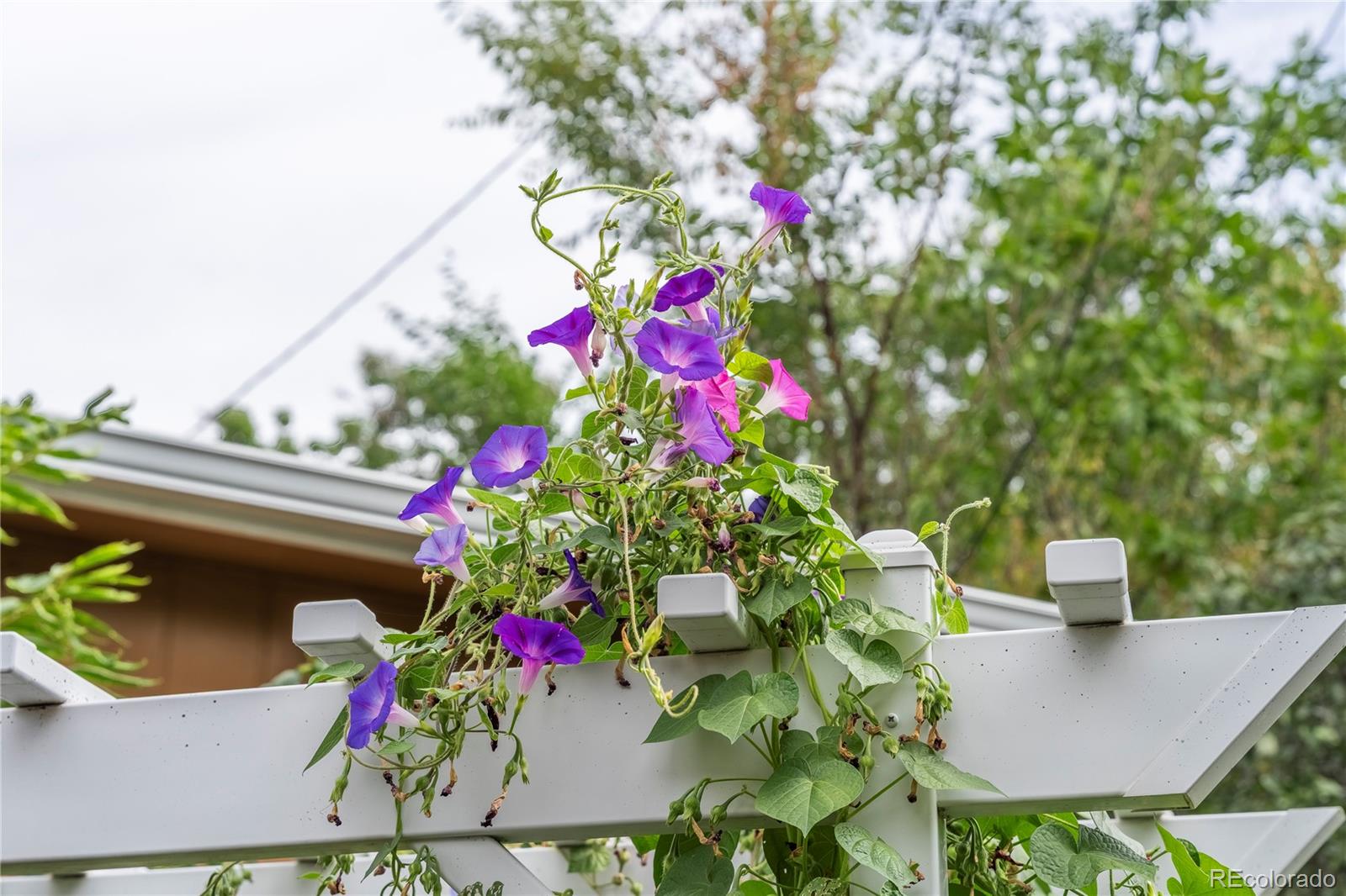 MLS Image #24 for 4845 e arizona avenue,denver, Colorado