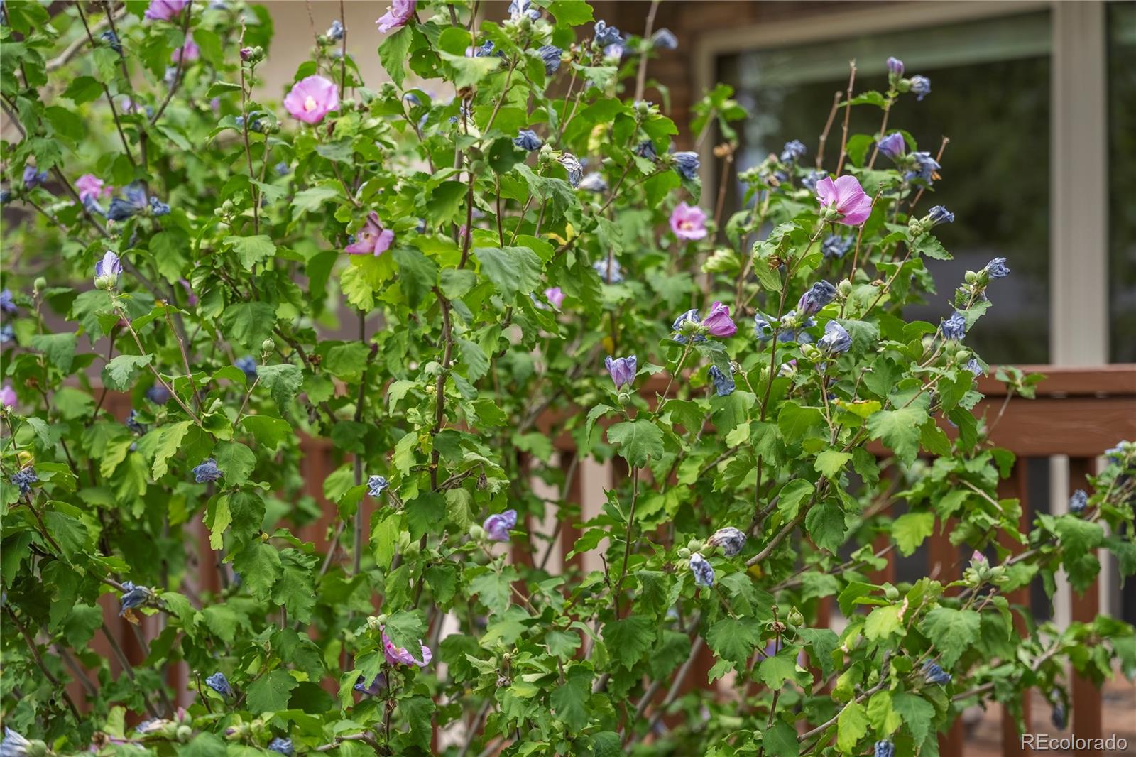 MLS Image #26 for 4845 e arizona avenue,denver, Colorado