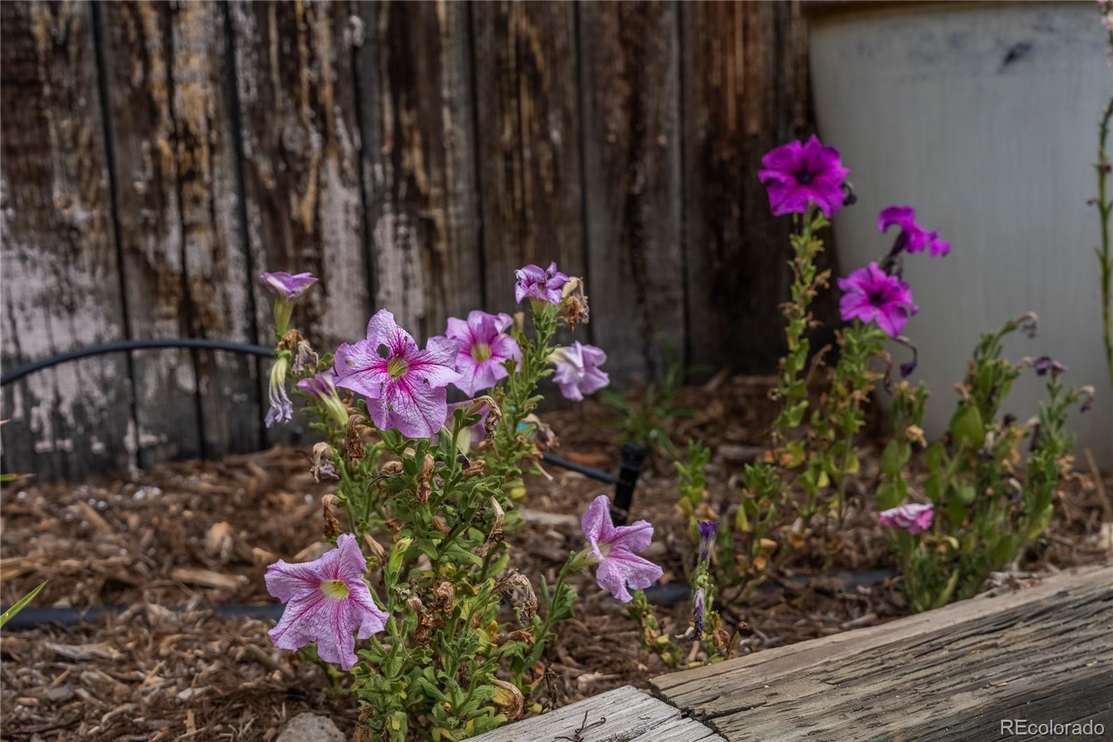 MLS Image #27 for 4845 e arizona avenue,denver, Colorado