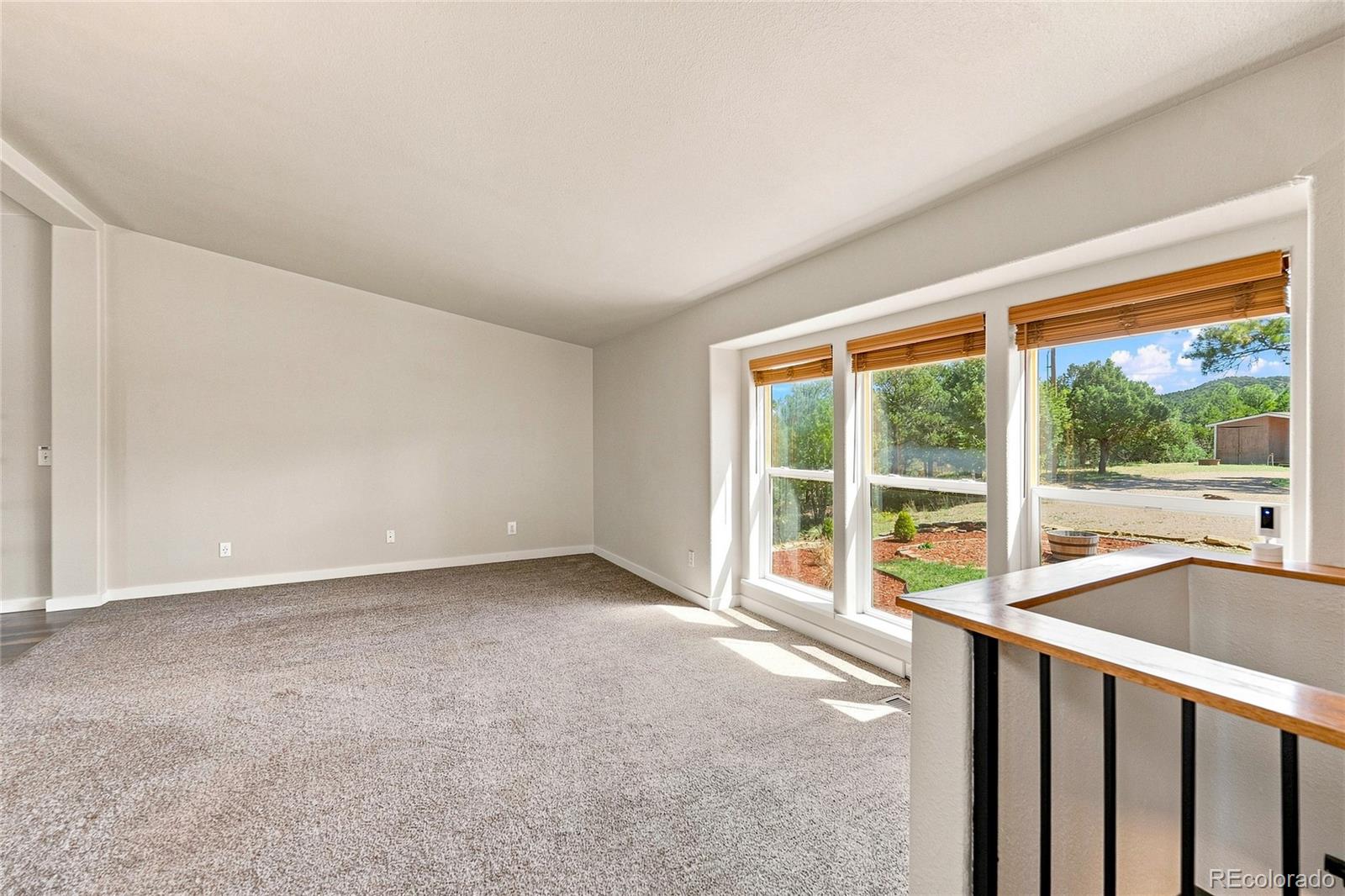 MLS Image #4 for 31602  culebra trail ,trinidad, Colorado
