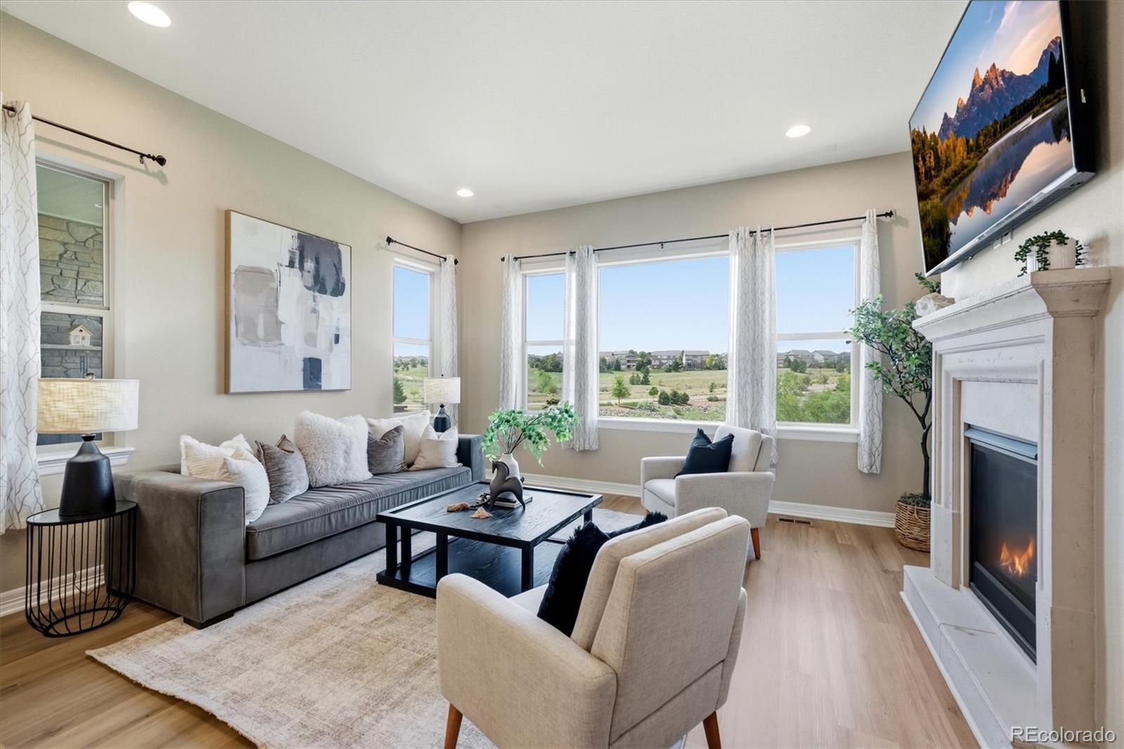 MLS Image #4 for 8641 s de gaulle court,aurora, Colorado