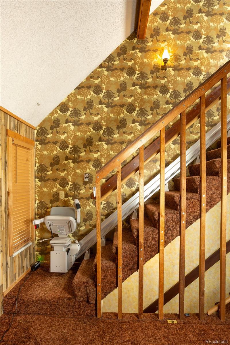 MLS Image #10 for 150  yellow pine drive,bailey, Colorado