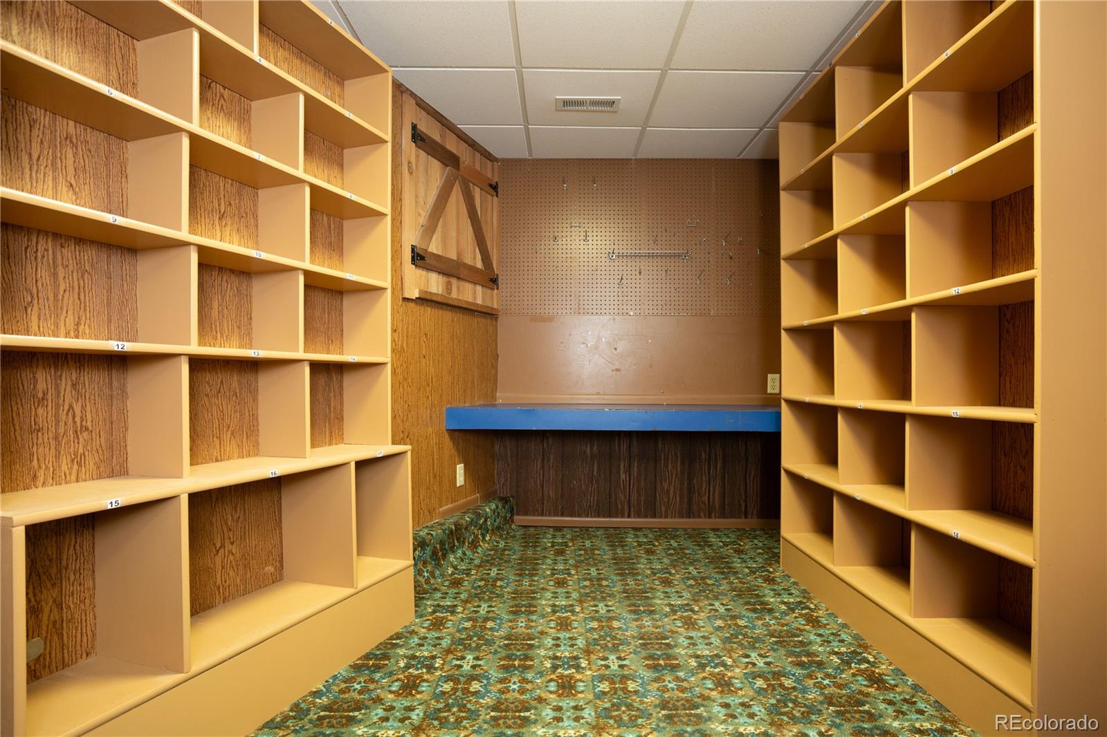 MLS Image #21 for 150  yellow pine drive,bailey, Colorado