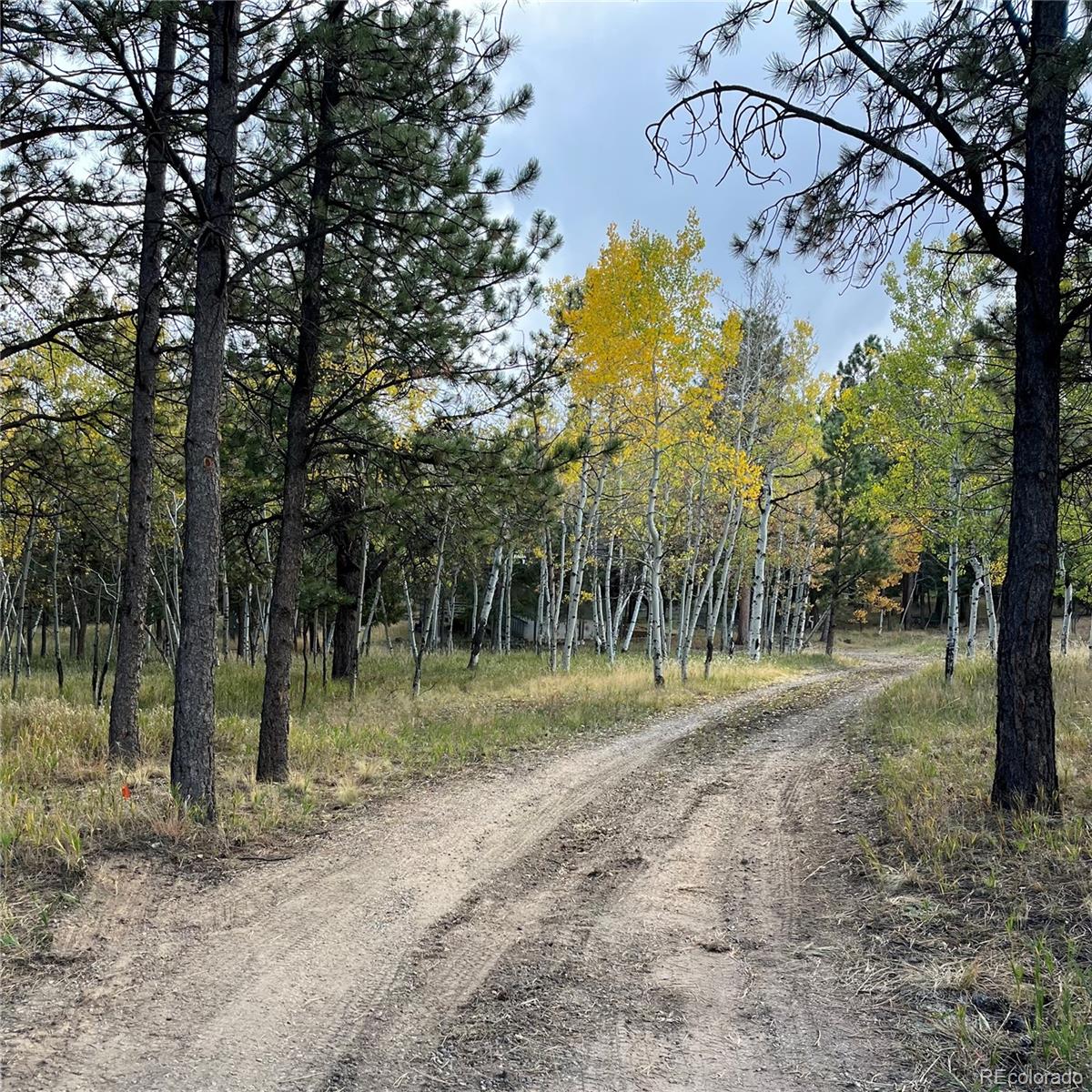 MLS Image #3 for 150  yellow pine drive,bailey, Colorado