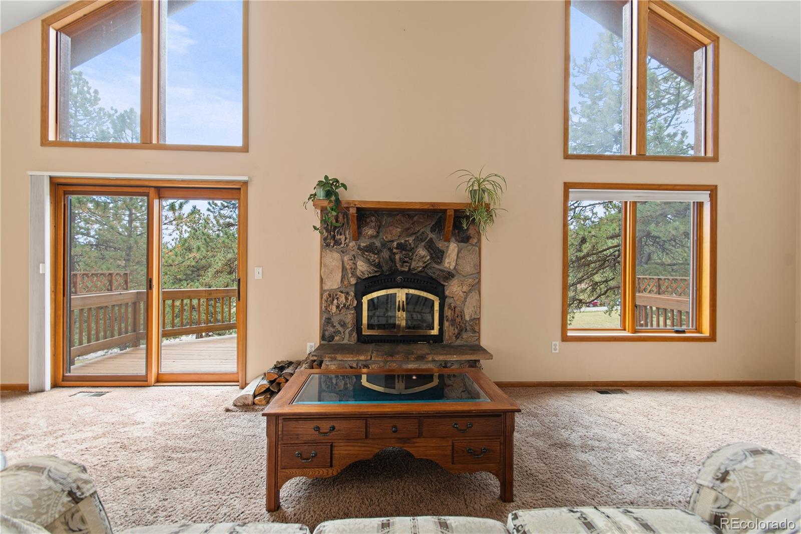 MLS Image #11 for 1053  yellow pine drive,bailey, Colorado