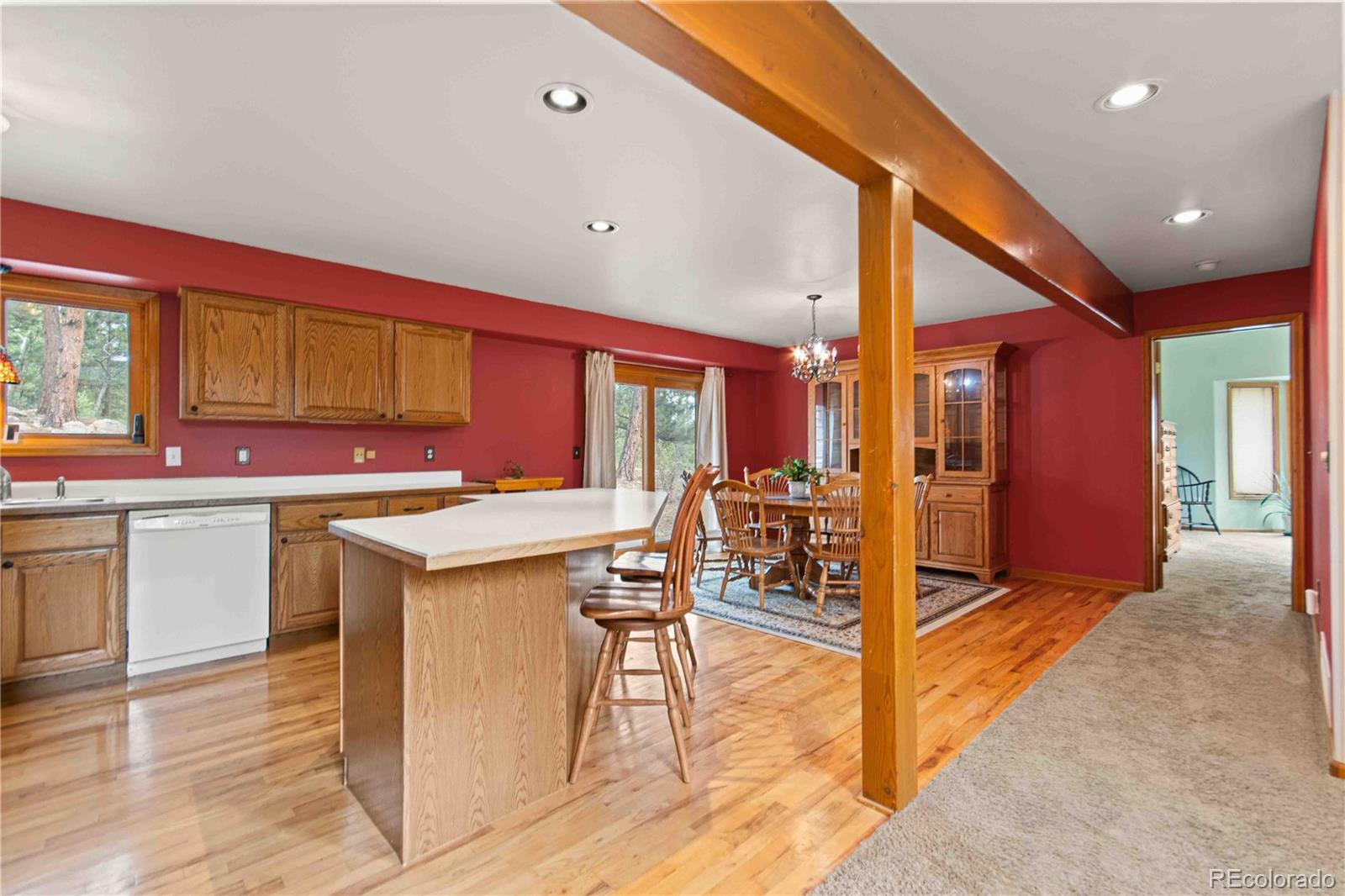 MLS Image #13 for 1053  yellow pine drive,bailey, Colorado