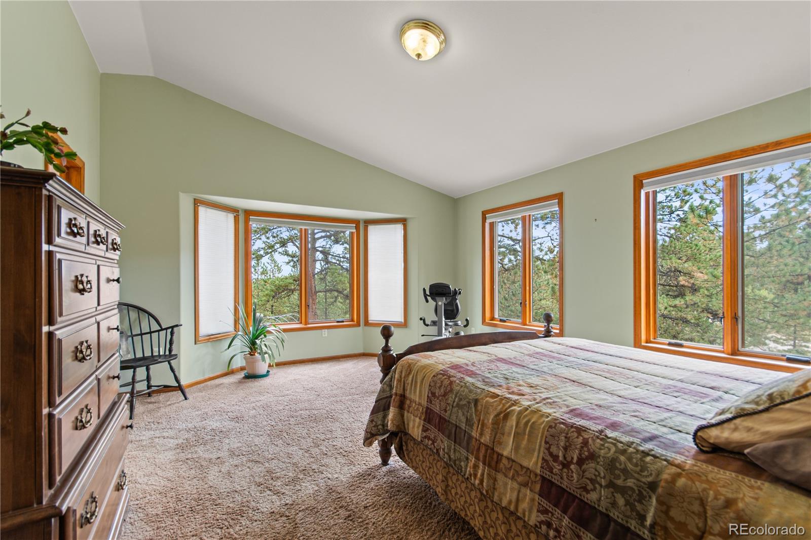 MLS Image #23 for 1053  yellow pine drive,bailey, Colorado