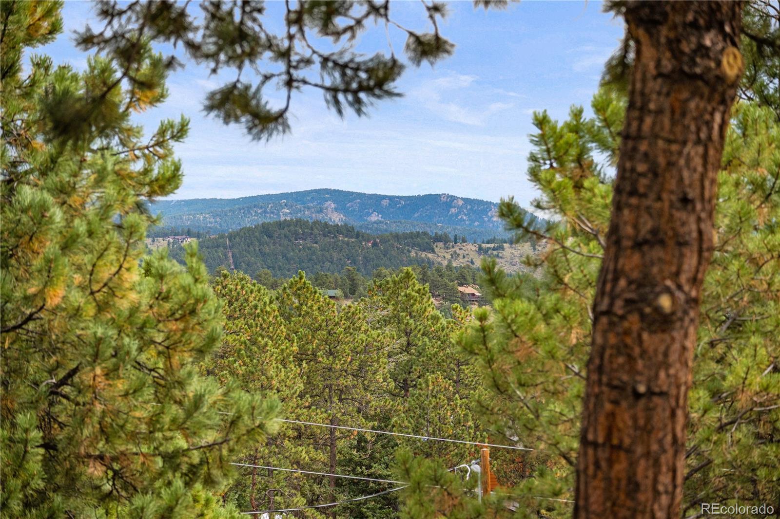 MLS Image #24 for 1053  yellow pine drive,bailey, Colorado