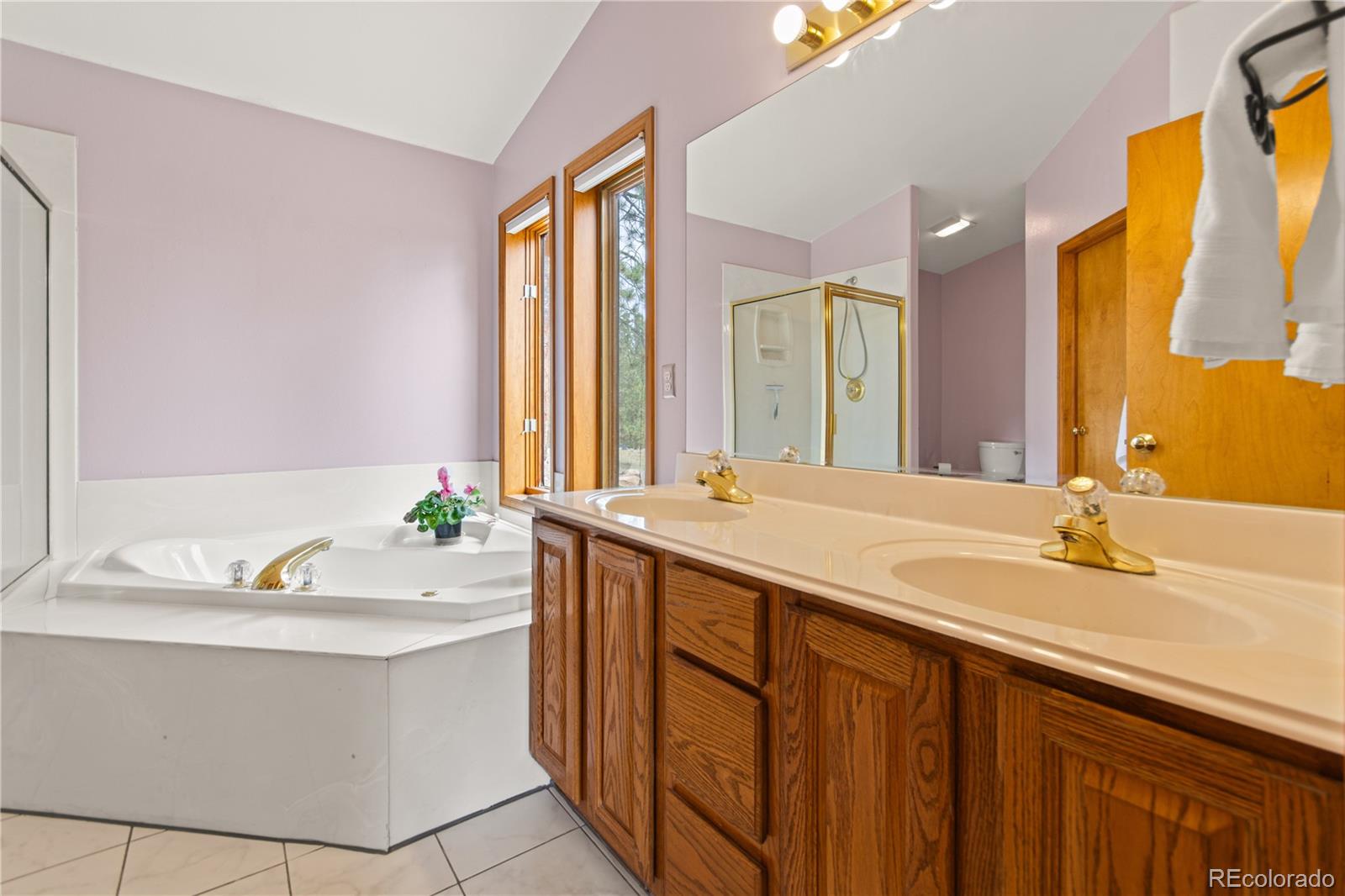 MLS Image #27 for 1053  yellow pine drive,bailey, Colorado