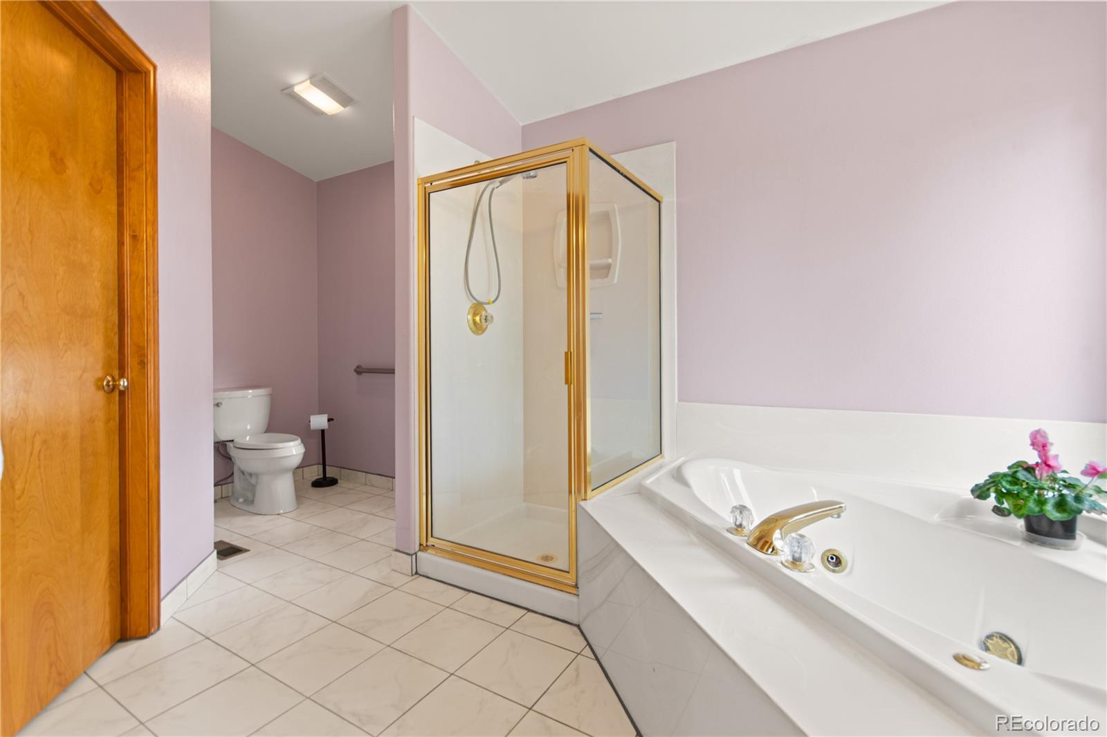 MLS Image #28 for 1053  yellow pine drive,bailey, Colorado