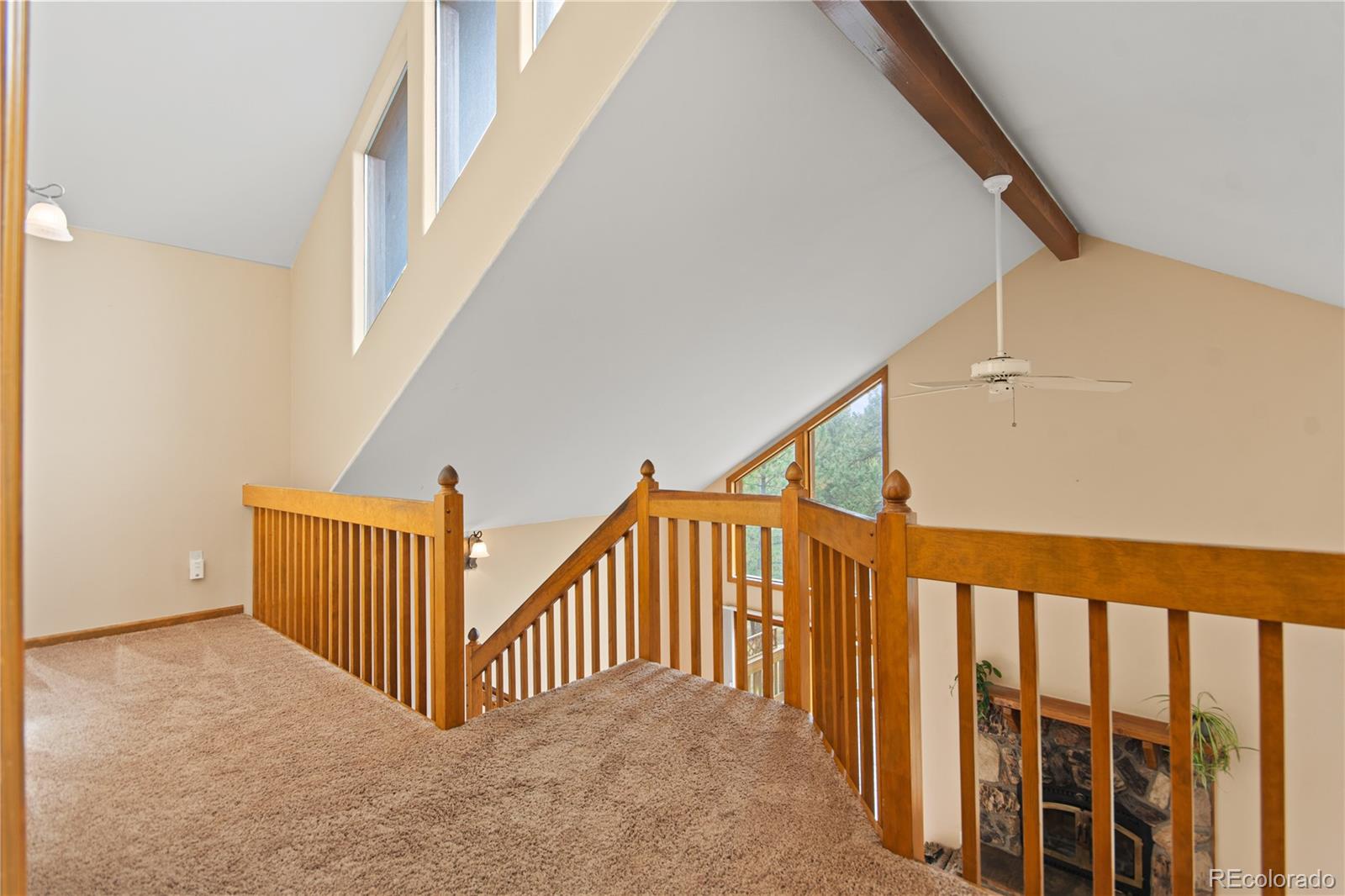 MLS Image #29 for 1053  yellow pine drive,bailey, Colorado