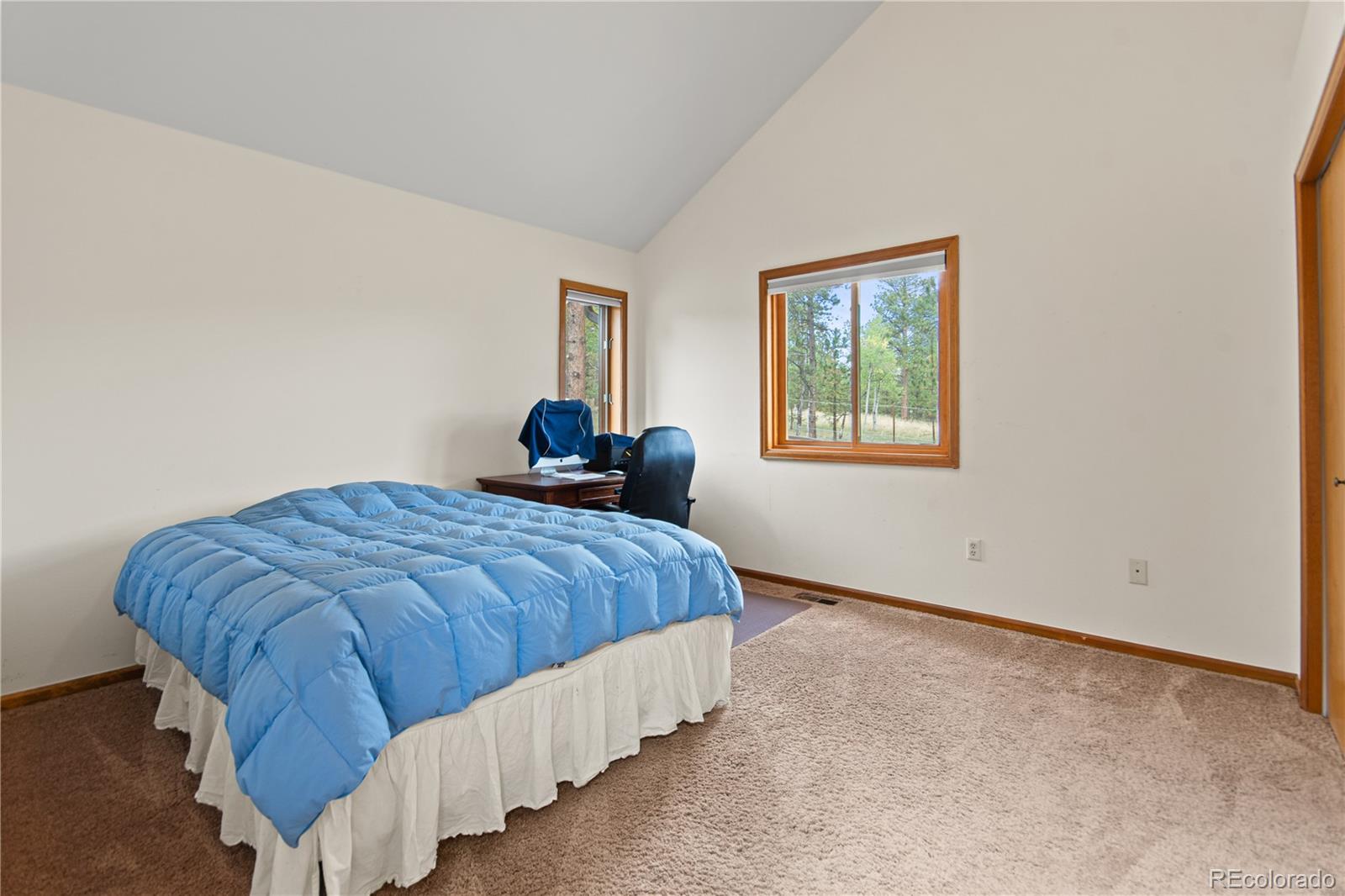 MLS Image #33 for 1053  yellow pine drive,bailey, Colorado