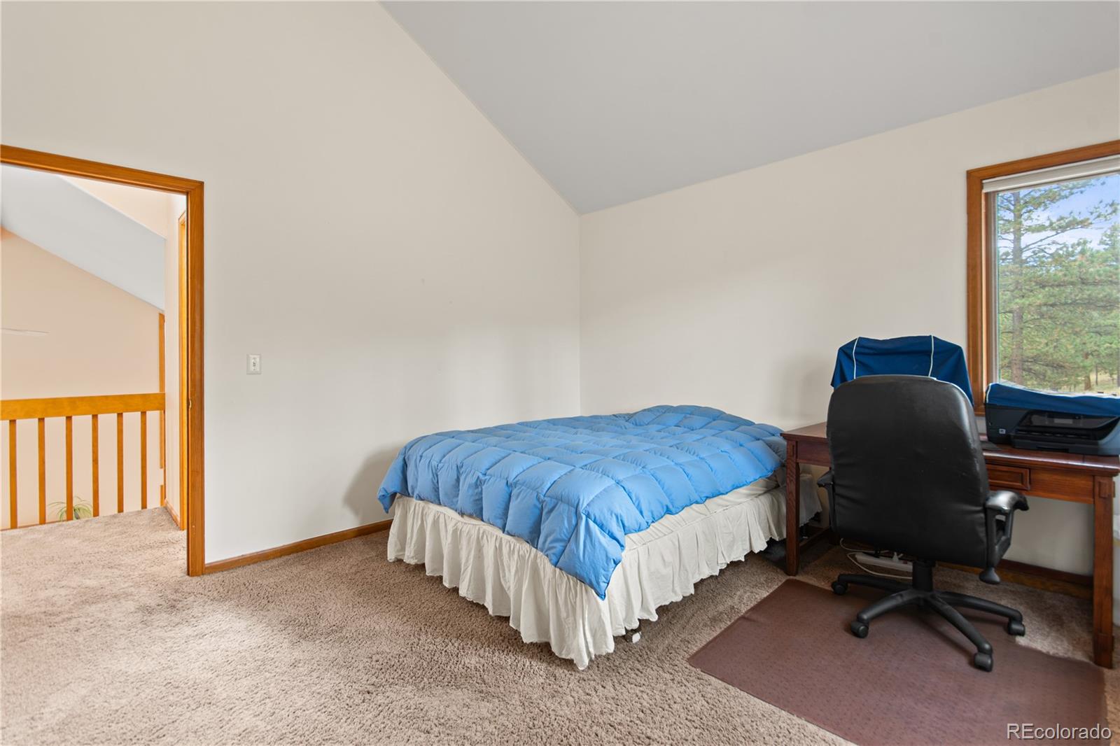 MLS Image #34 for 1053  yellow pine drive,bailey, Colorado