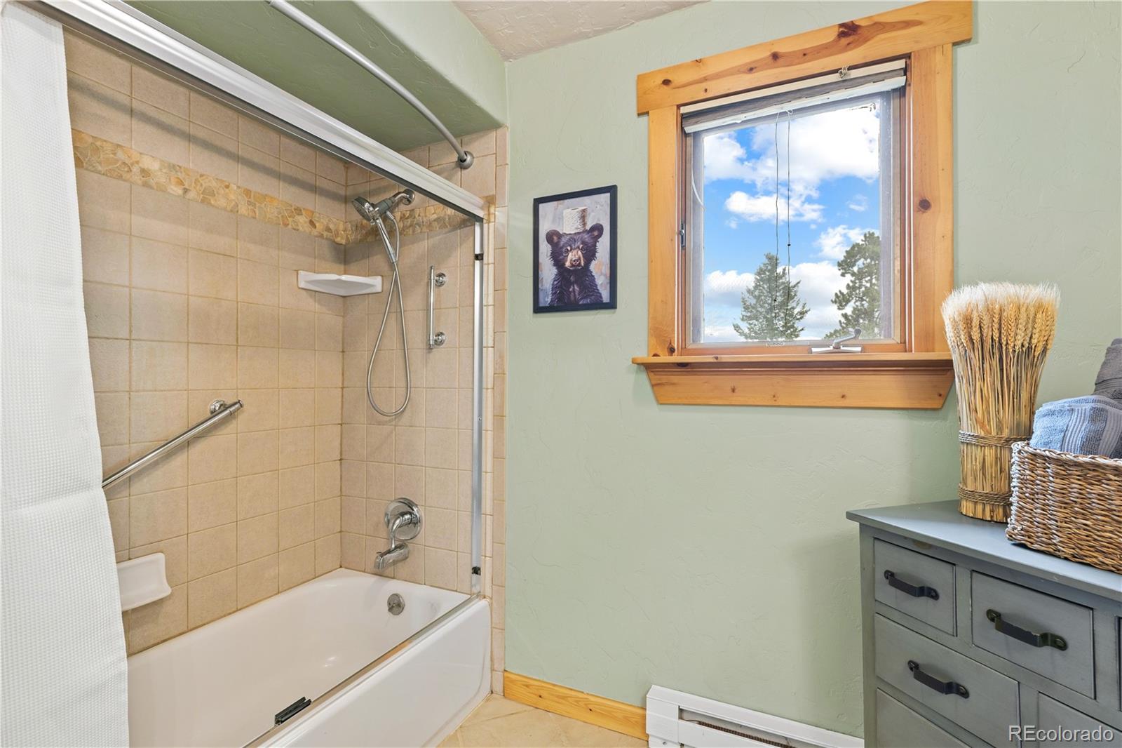 MLS Image #26 for 8  aspen lane,bailey, Colorado