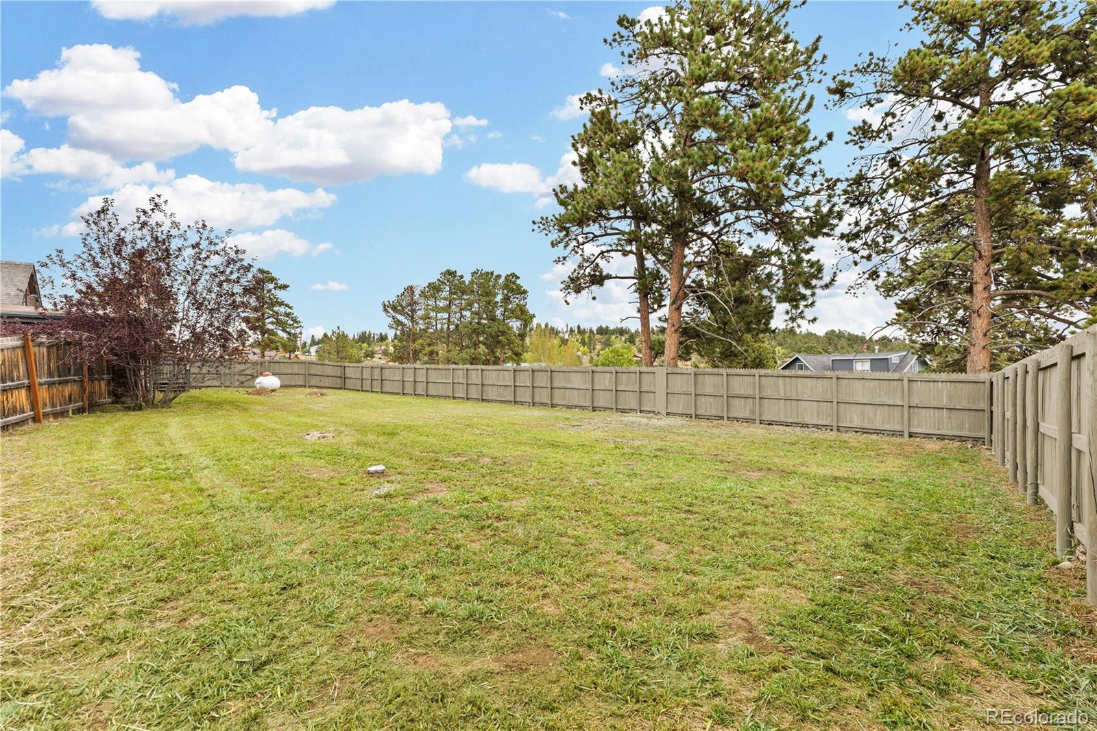 MLS Image #44 for 8  aspen lane,bailey, Colorado