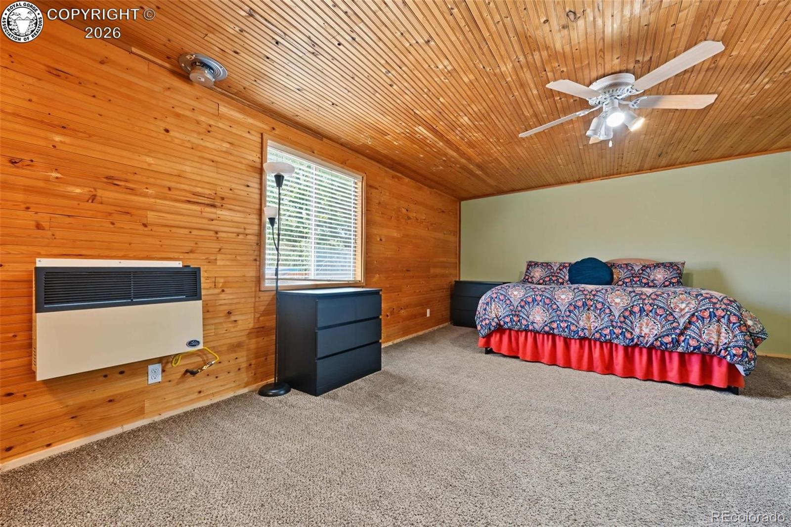 MLS Image #18 for 26138  state highway 96 ,wetmore, Colorado