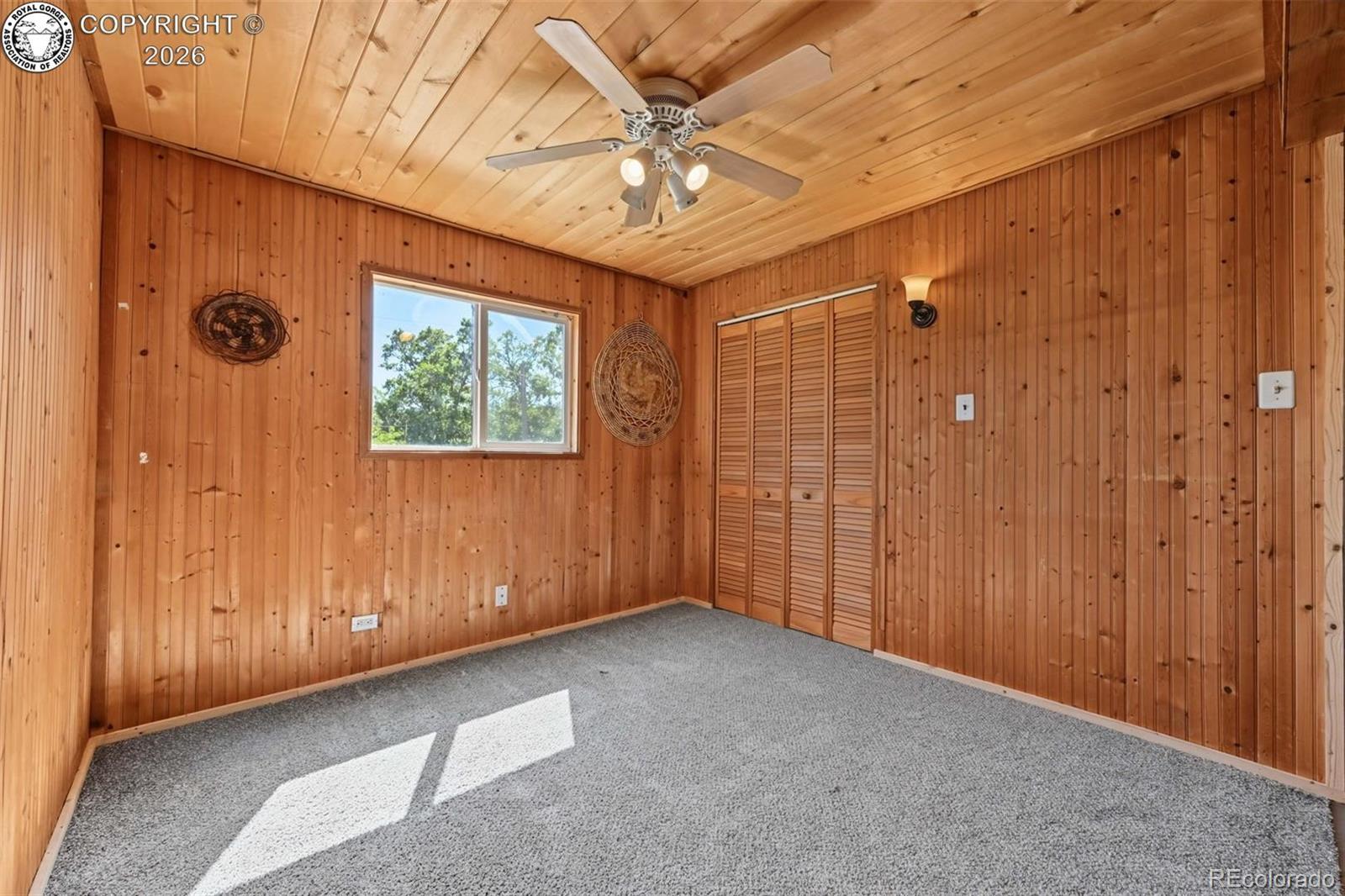 MLS Image #26 for 26138  state highway 96 ,wetmore, Colorado