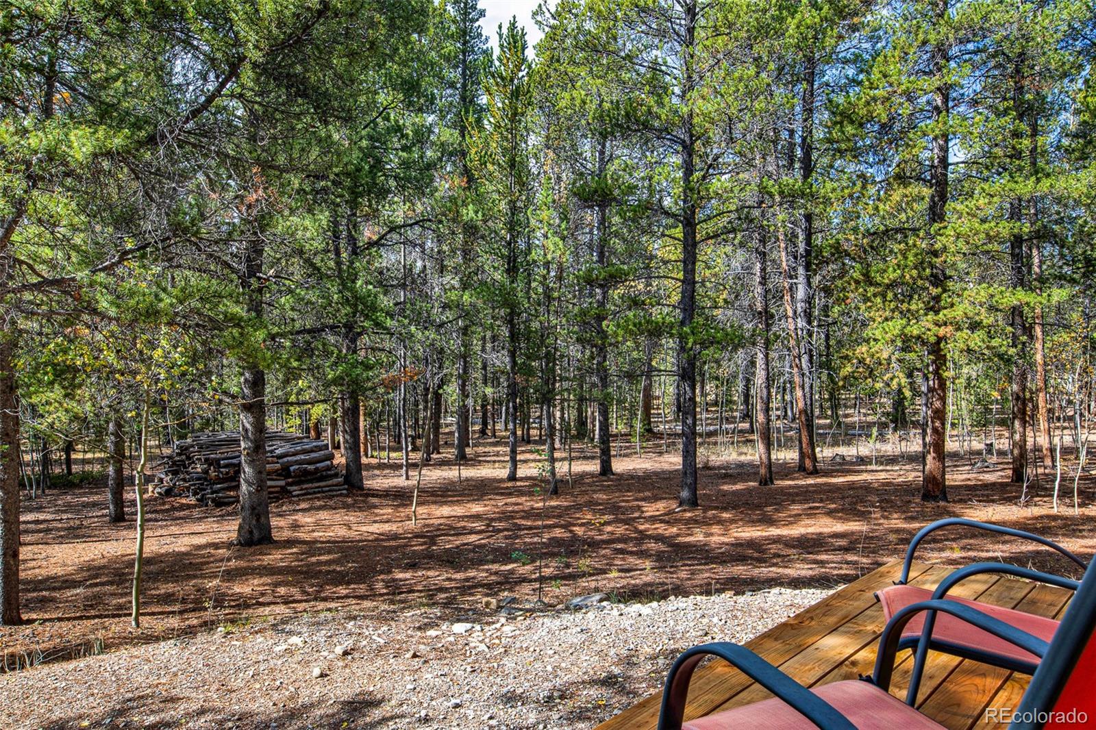 MLS Image #1 for 768  coil drive,fairplay, Colorado