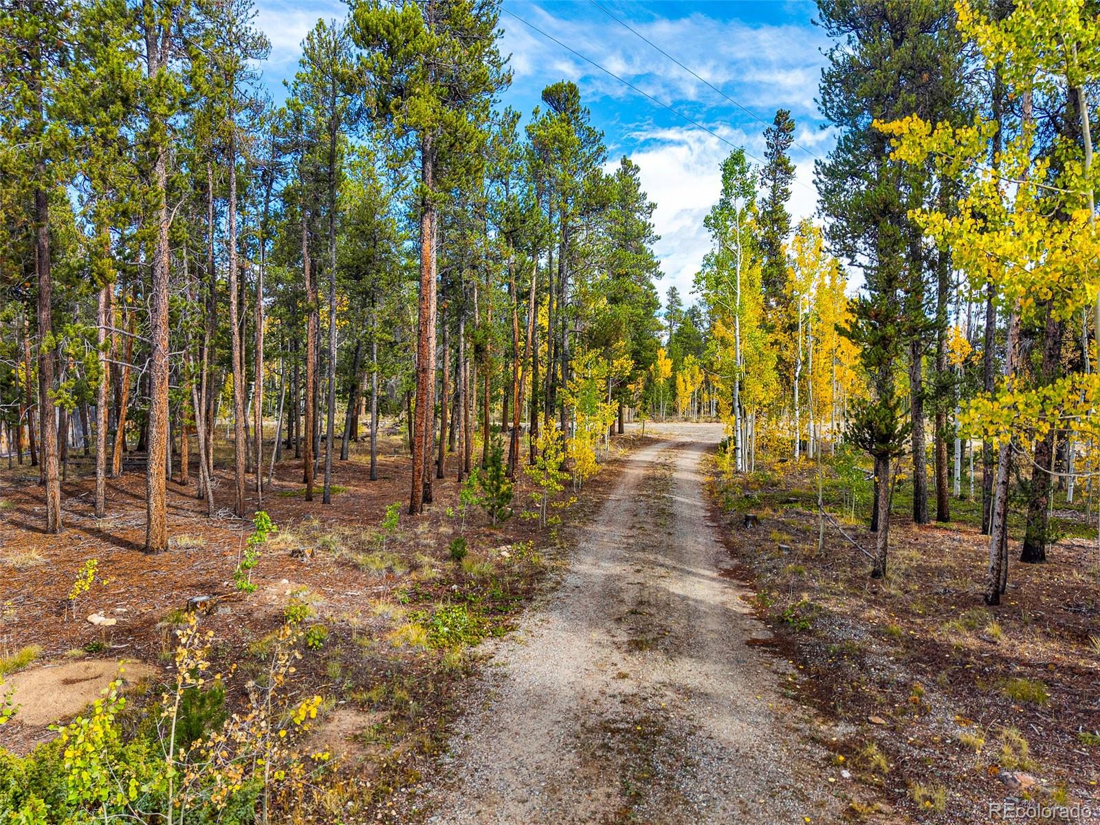 MLS Image #15 for 768  coil drive,fairplay, Colorado