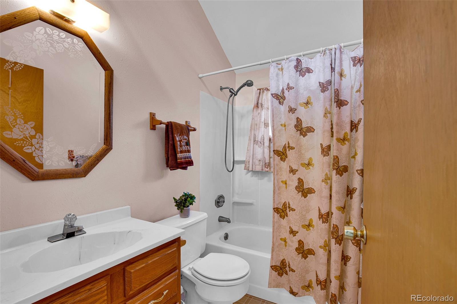 MLS Image #23 for 768  coil drive,fairplay, Colorado