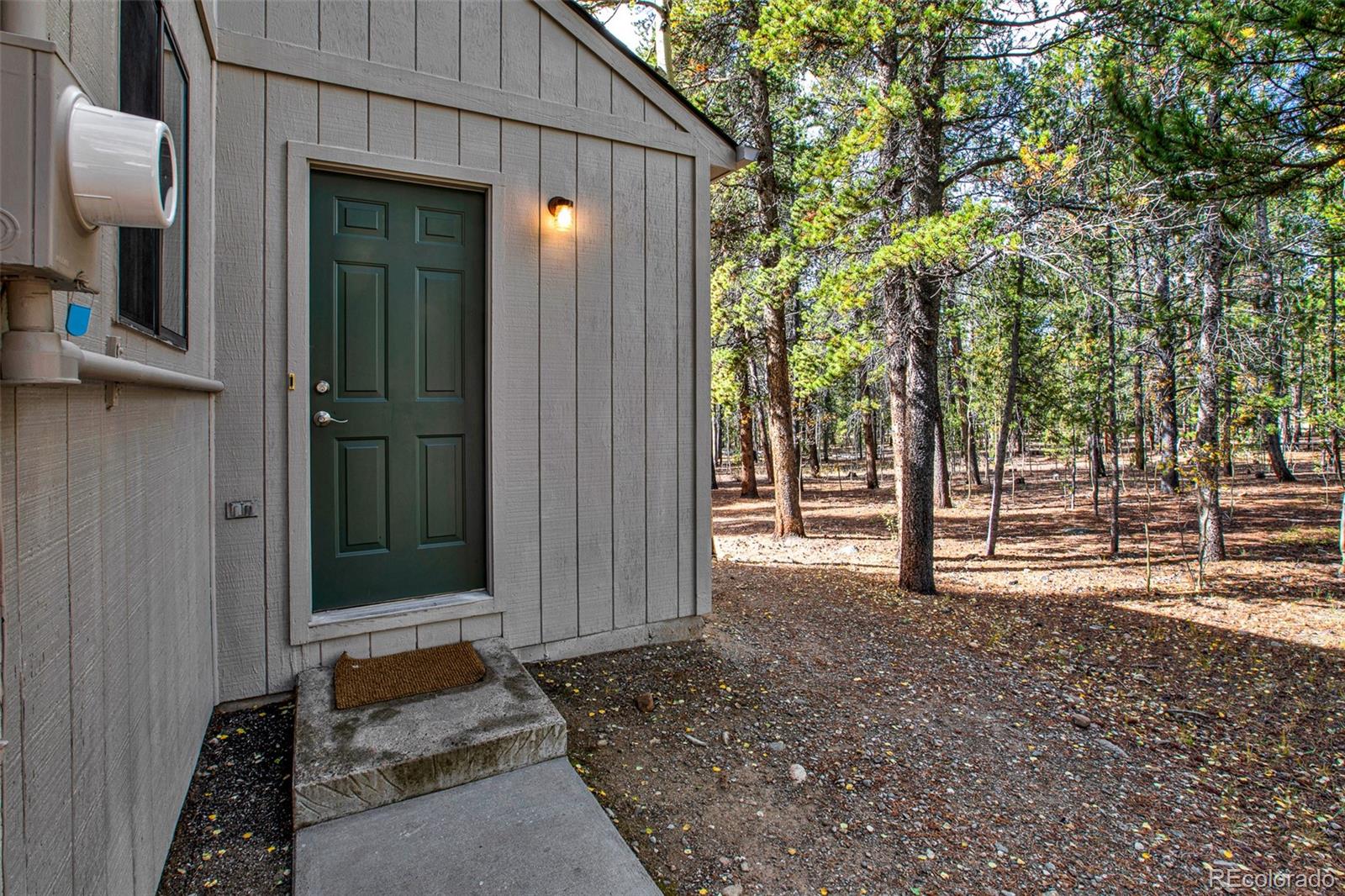 MLS Image #29 for 768  coil drive,fairplay, Colorado