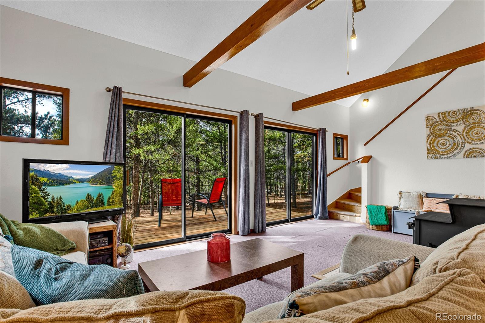 MLS Image #3 for 768  coil drive,fairplay, Colorado