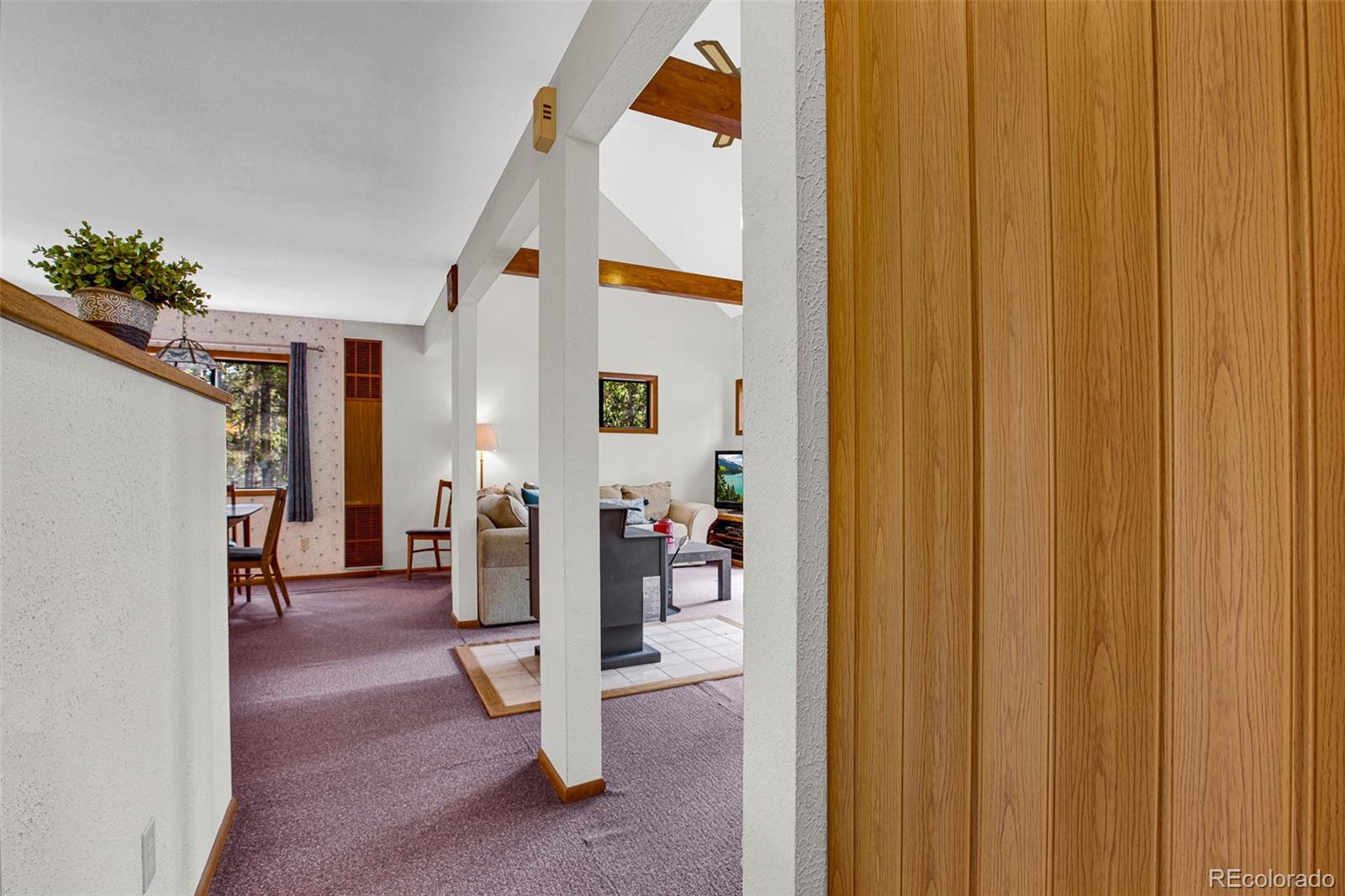 MLS Image #32 for 768  coil drive,fairplay, Colorado