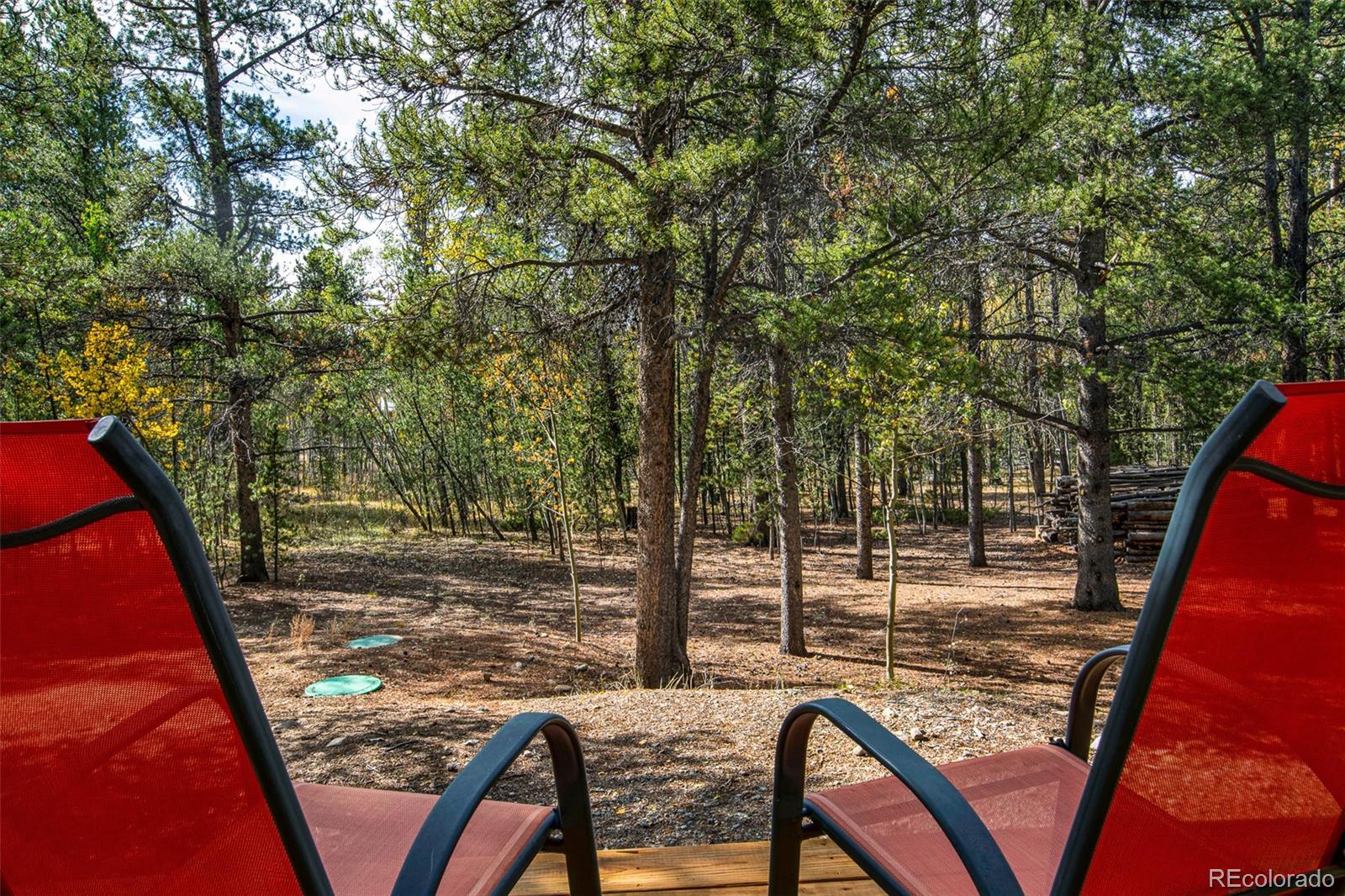 MLS Image #34 for 768  coil drive,fairplay, Colorado