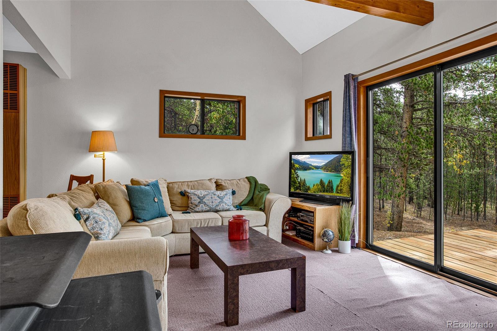 MLS Image #4 for 768  coil drive,fairplay, Colorado