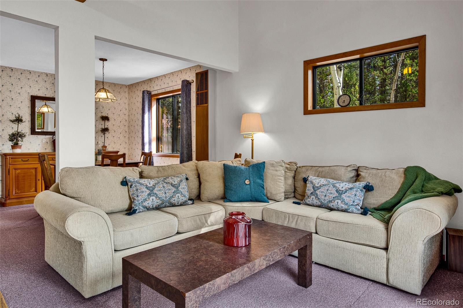MLS Image #5 for 768  coil drive,fairplay, Colorado