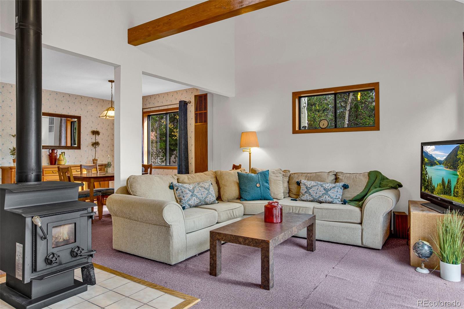 MLS Image #6 for 768  coil drive,fairplay, Colorado