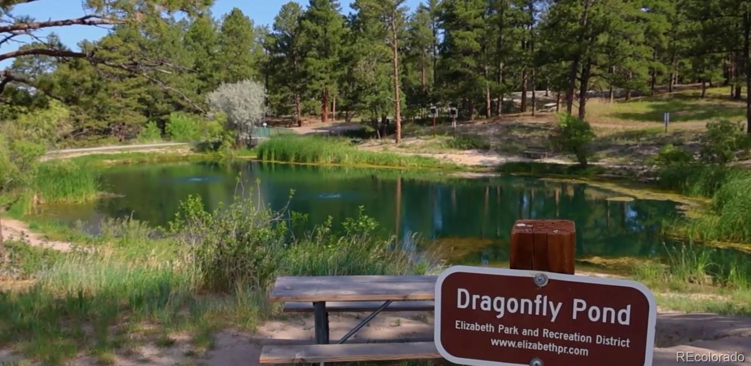 MLS Image #9 for 3475  kingston crest trail,elizabeth, Colorado