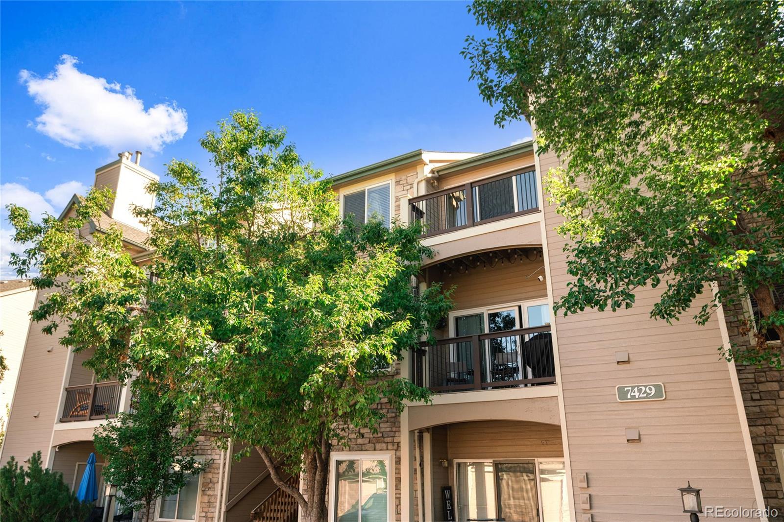 MLS Image #15 for 7429 s alkire street,littleton, Colorado