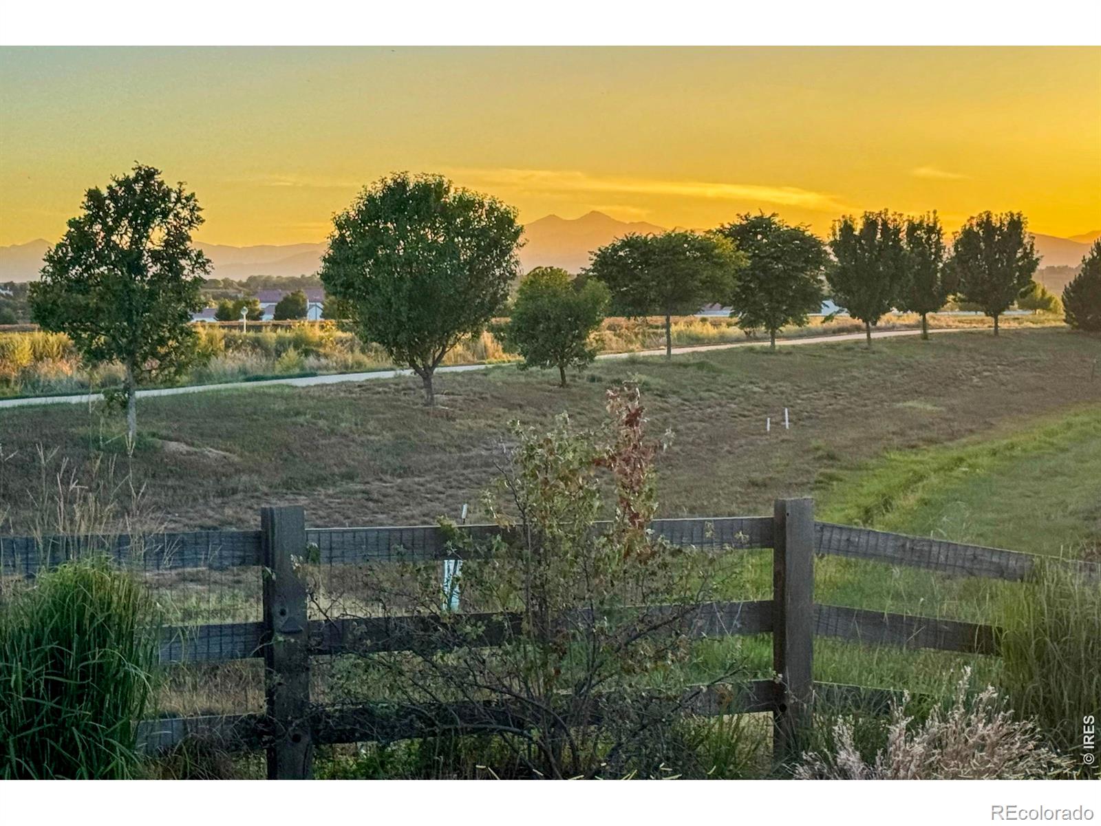 MLS Image #31 for 1573  brolien drive,windsor, Colorado