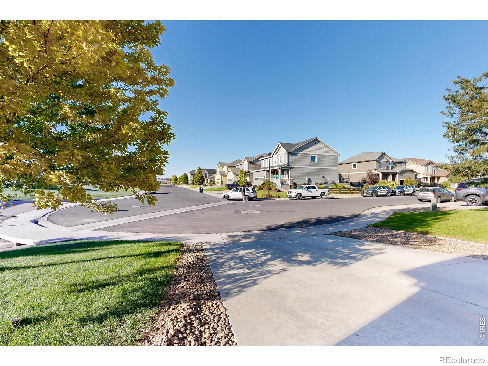 MLS Image #45 for 1573  brolien drive,windsor, Colorado