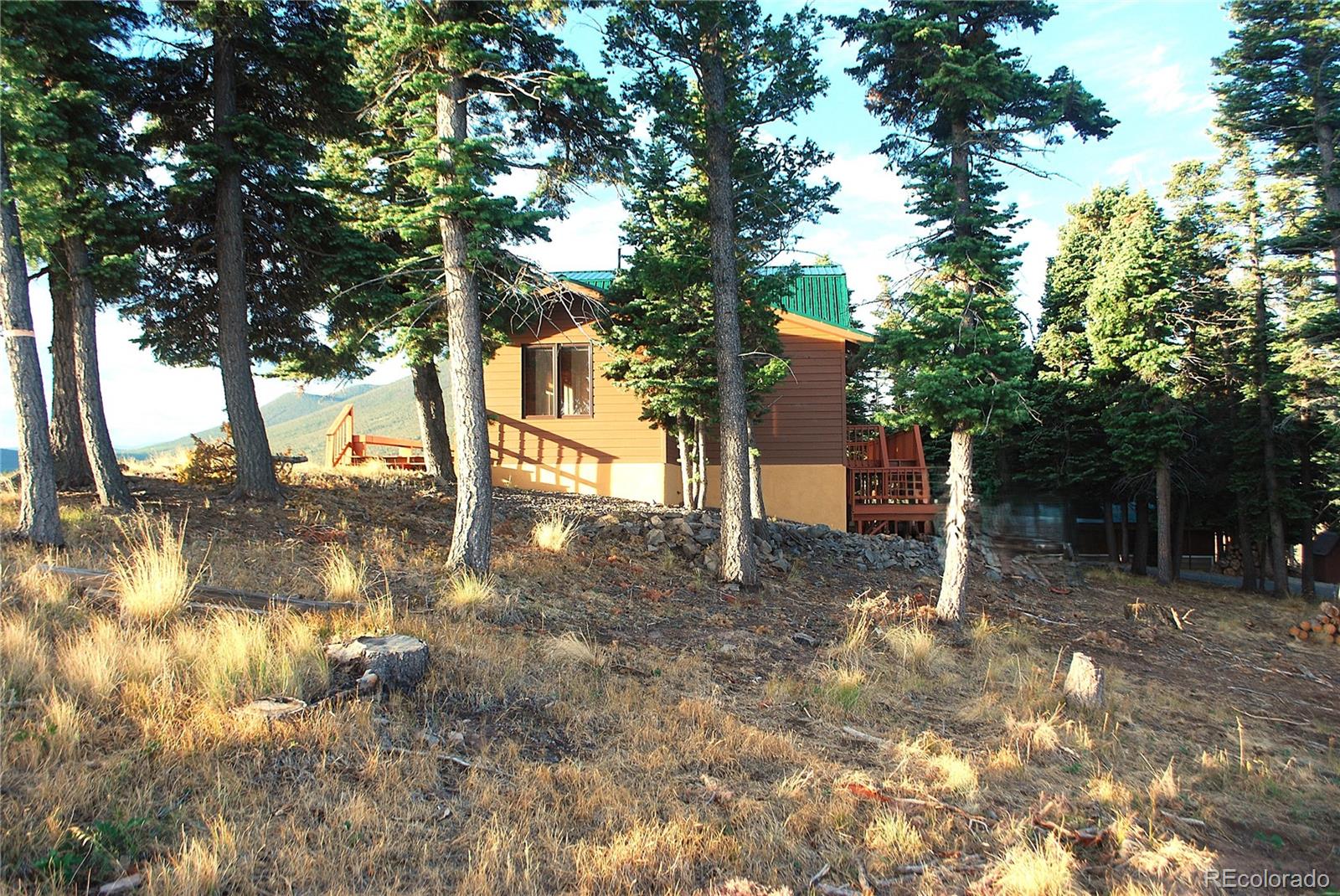 MLS Image #38 for 2411  vent place,fort garland, Colorado