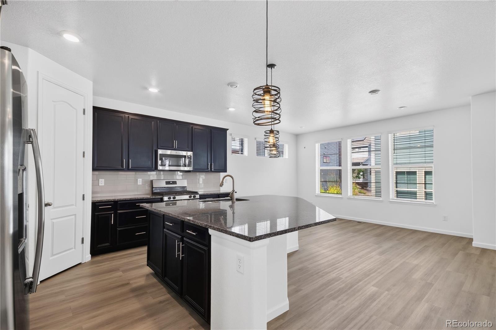 MLS Image #3 for 9725  bennett peak street,littleton, Colorado
