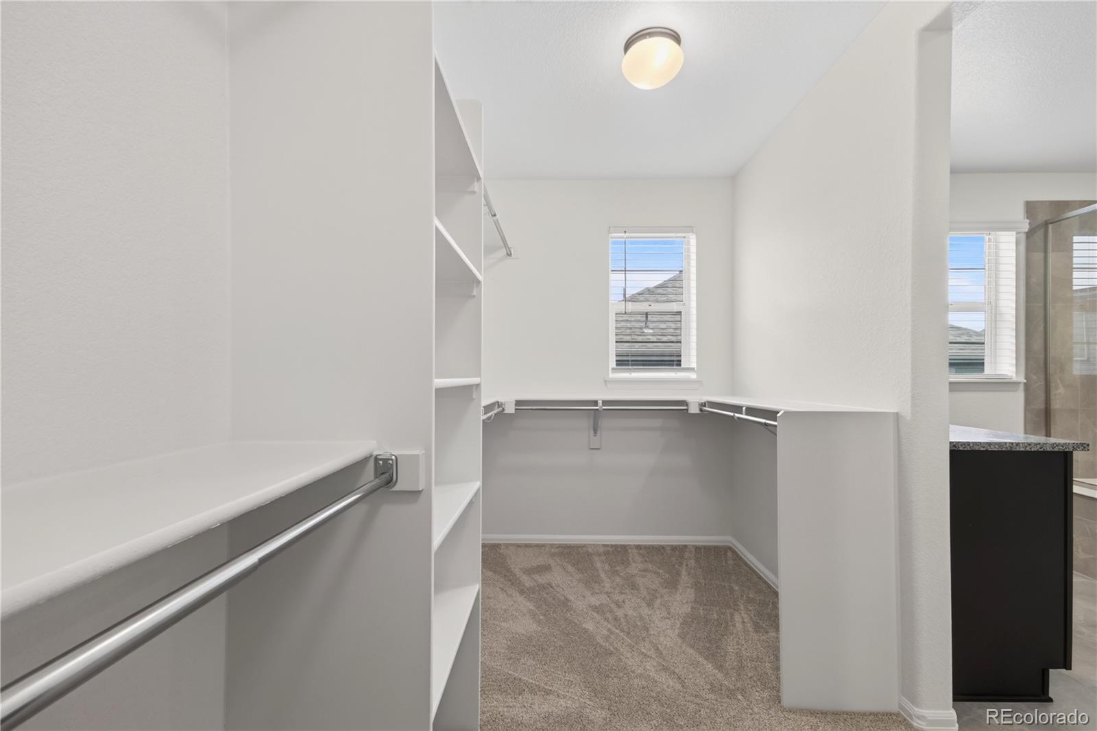MLS Image #33 for 9725  bennett peak street,littleton, Colorado