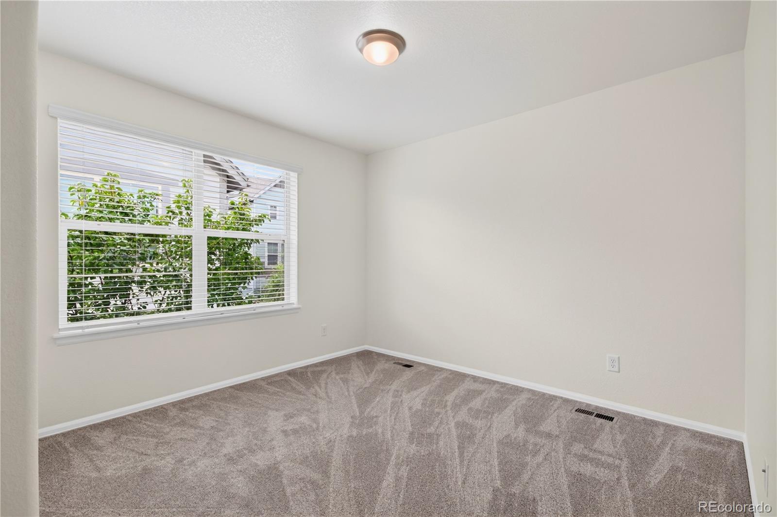 MLS Image #37 for 9725  bennett peak street,littleton, Colorado