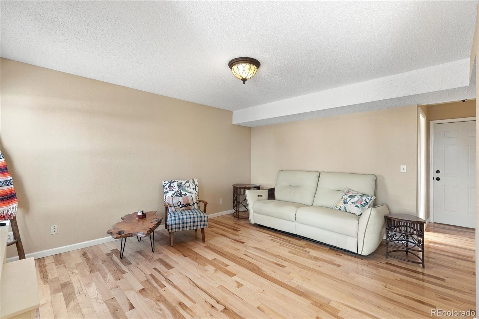MLS Image #12 for 1150  pipestone court,colorado springs, Colorado